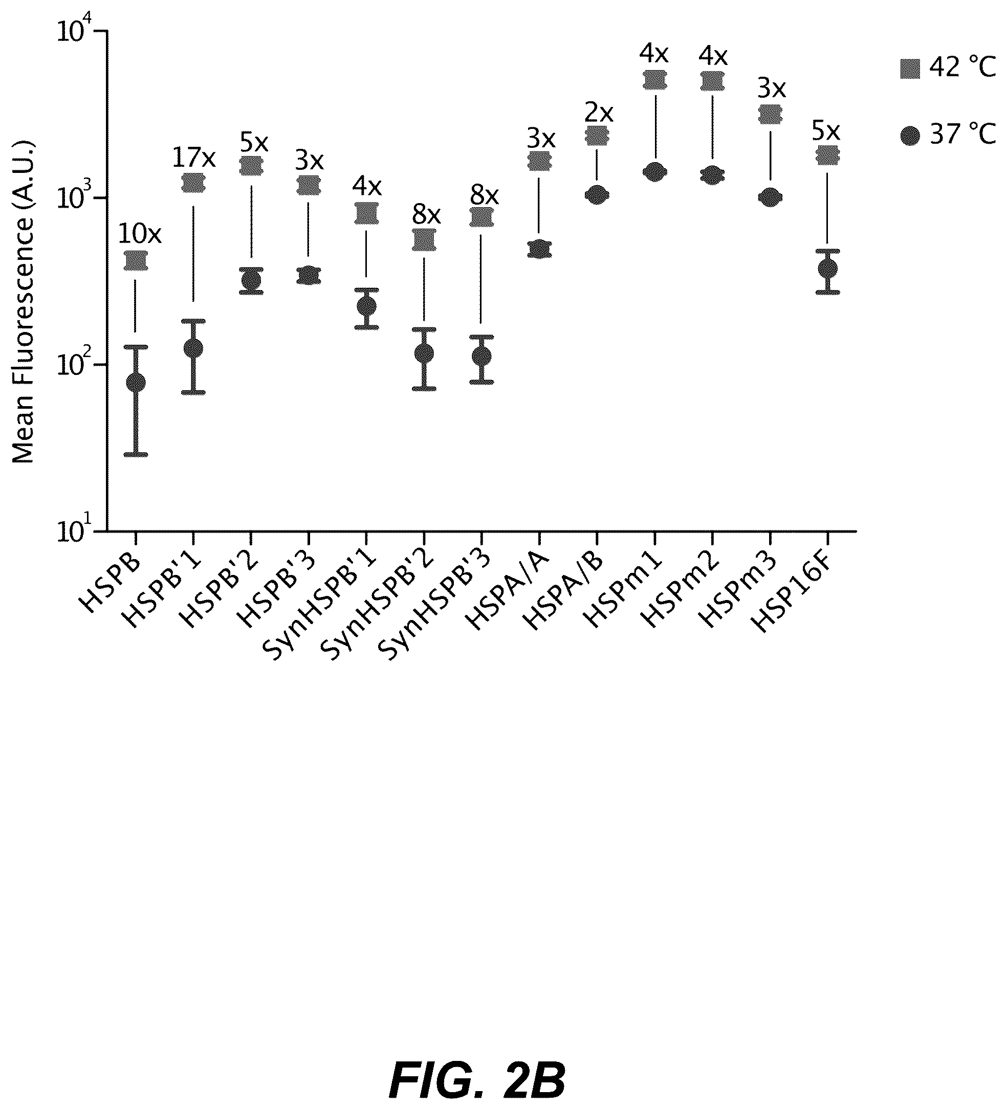 Patent US12359208 Figure 3 – Thermal control of T-cell immunotherapy through molecular and physical actuation