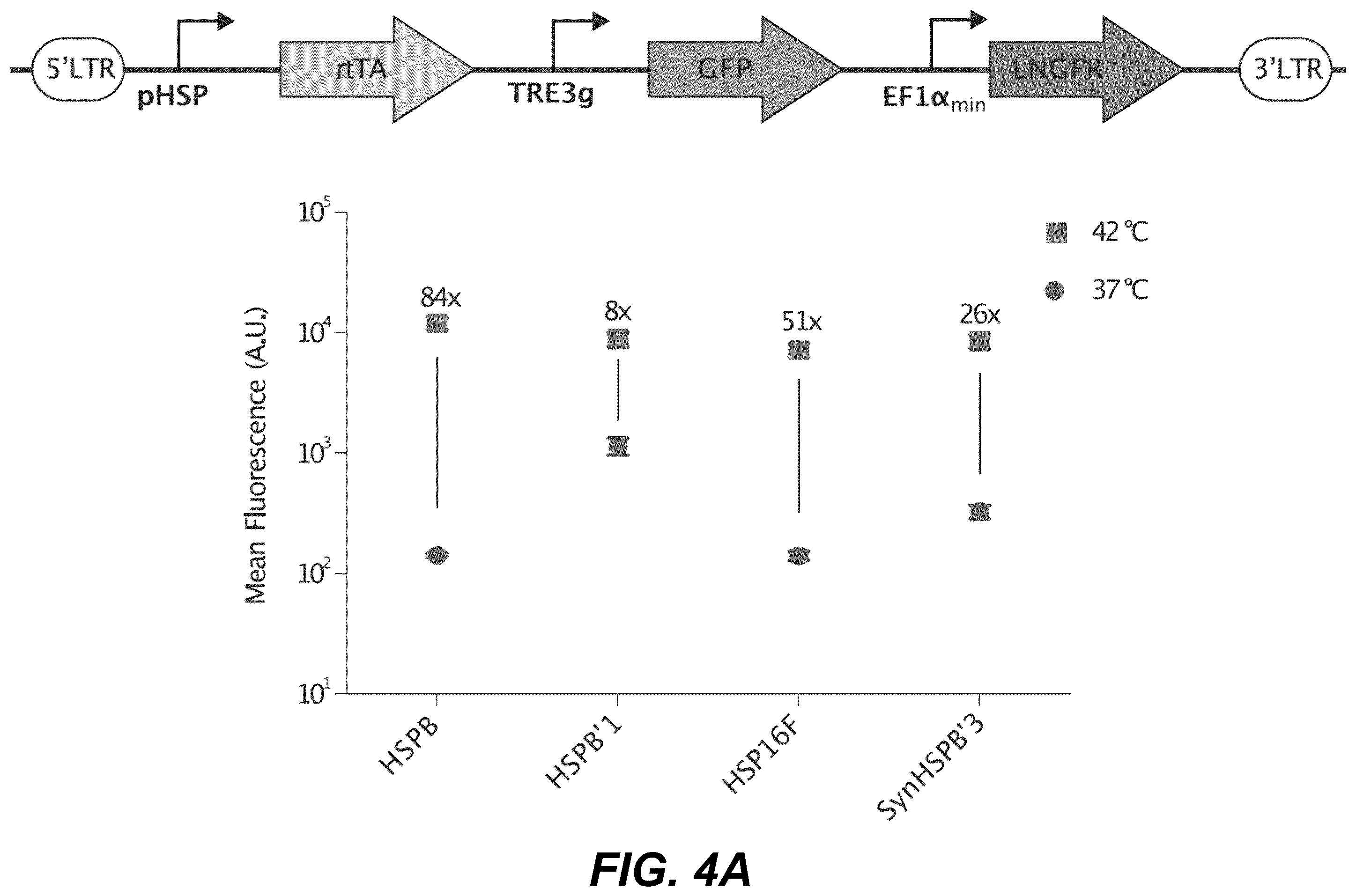 Patent US12359208 Figure 7 – Thermal control of T-cell immunotherapy through molecular and physical actuation