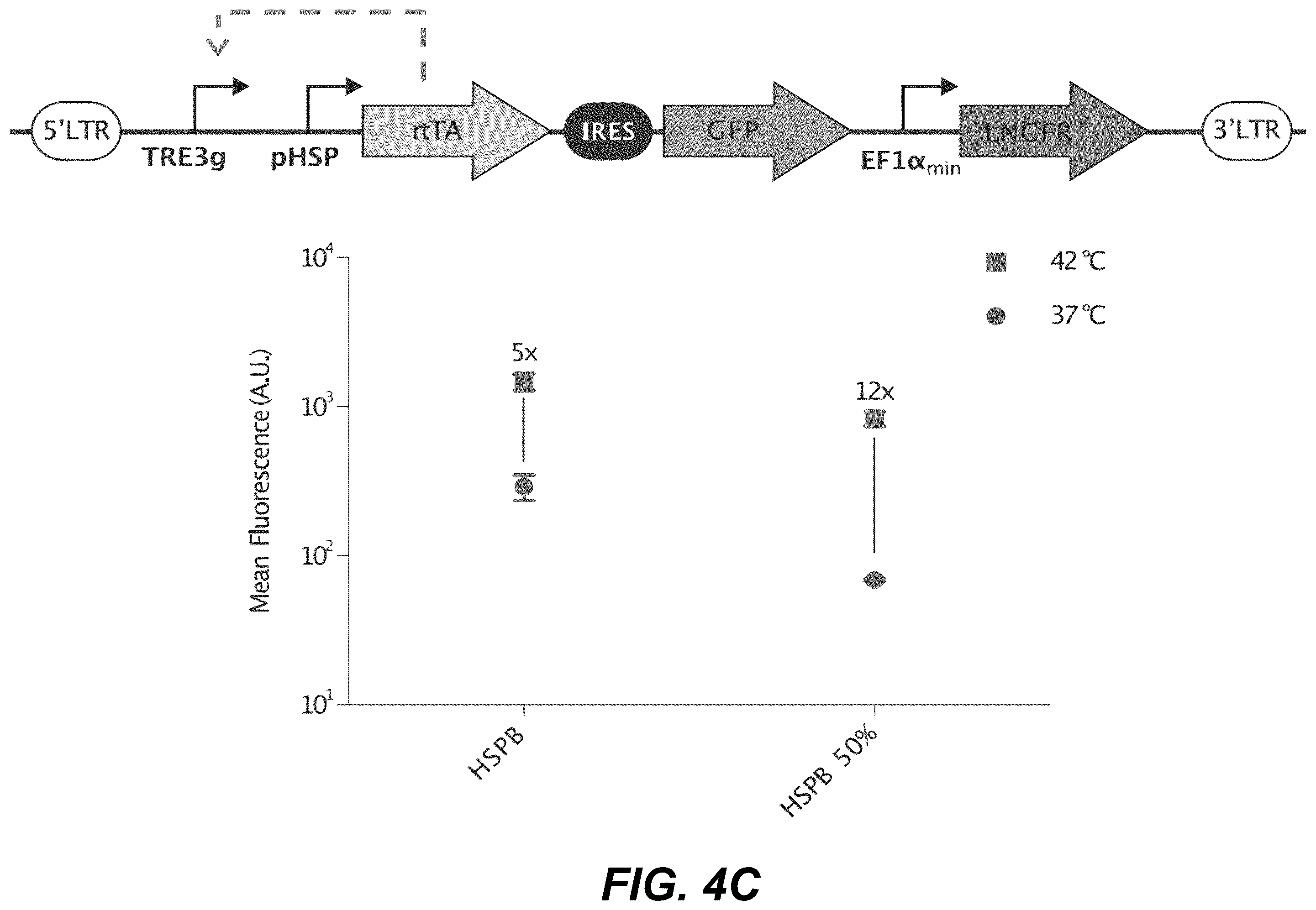 Patent US12359208 Figure 9 – Thermal control of T-cell immunotherapy through molecular and physical actuation