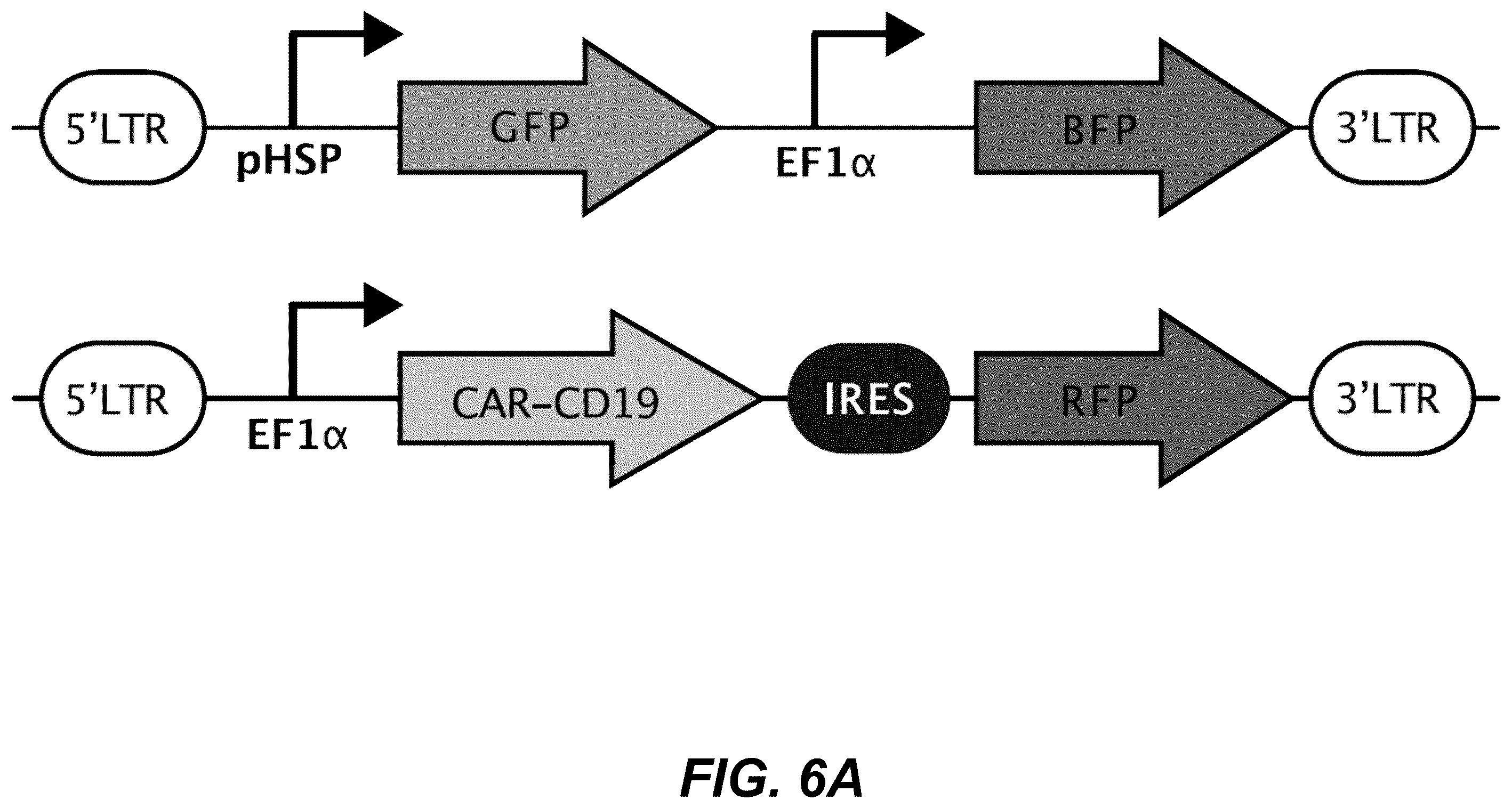 Patent US12359208 Figure 15 – Thermal control of T-cell immunotherapy through molecular and physical actuation
