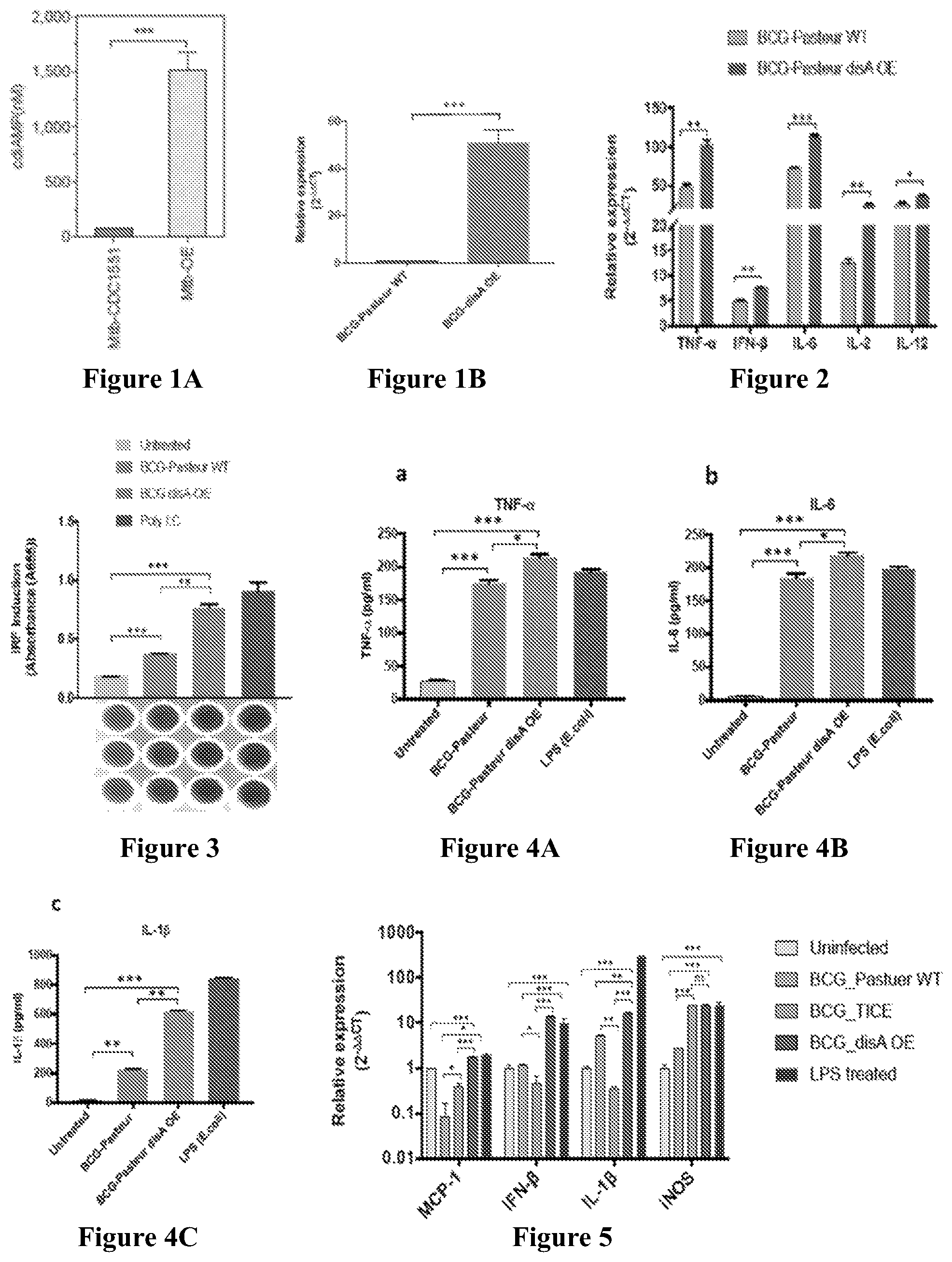 Patent US12359209 Figure 1 – Recombinant therapeutic interventions for cancer