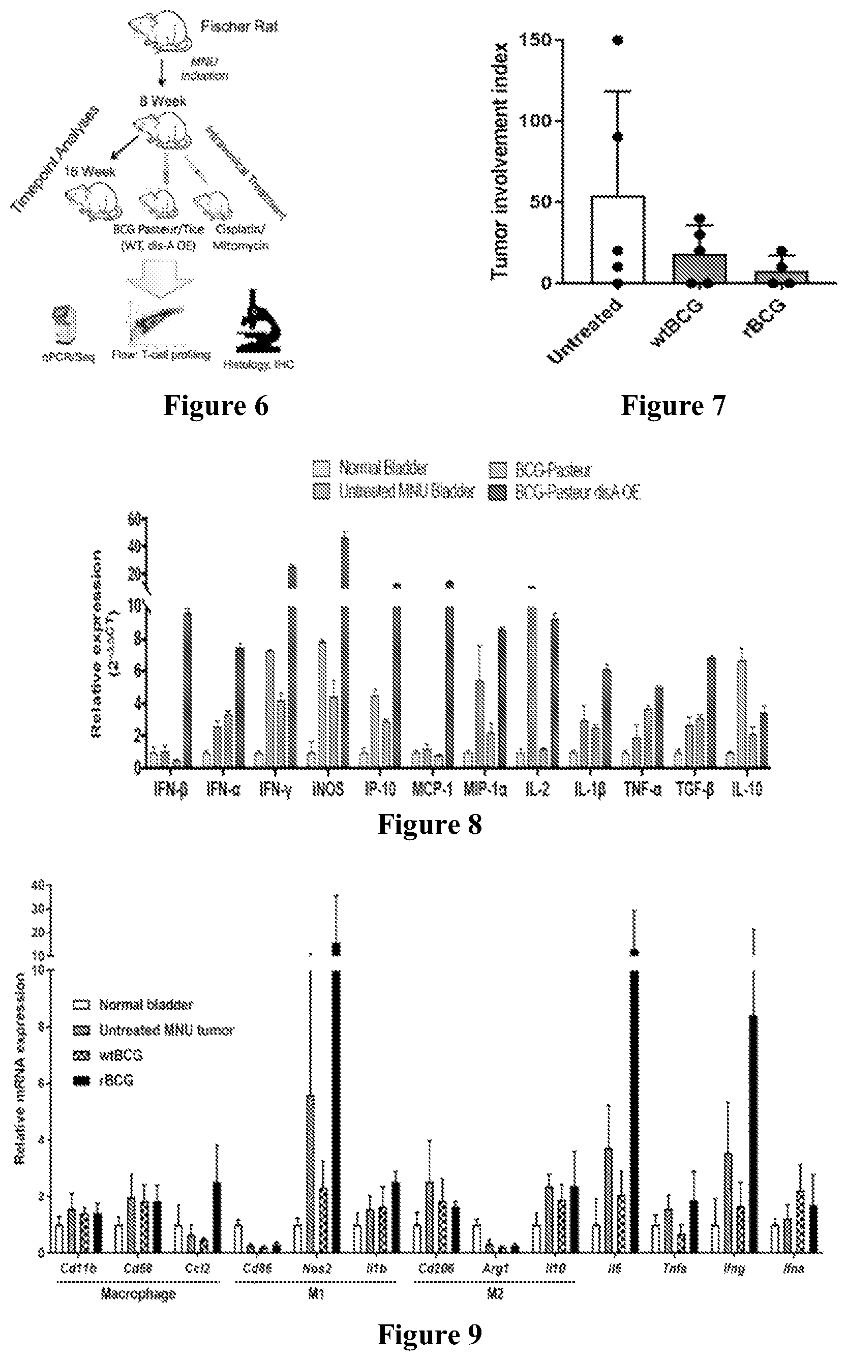 Patent US12359209 Figure 2 – Recombinant therapeutic interventions for cancer