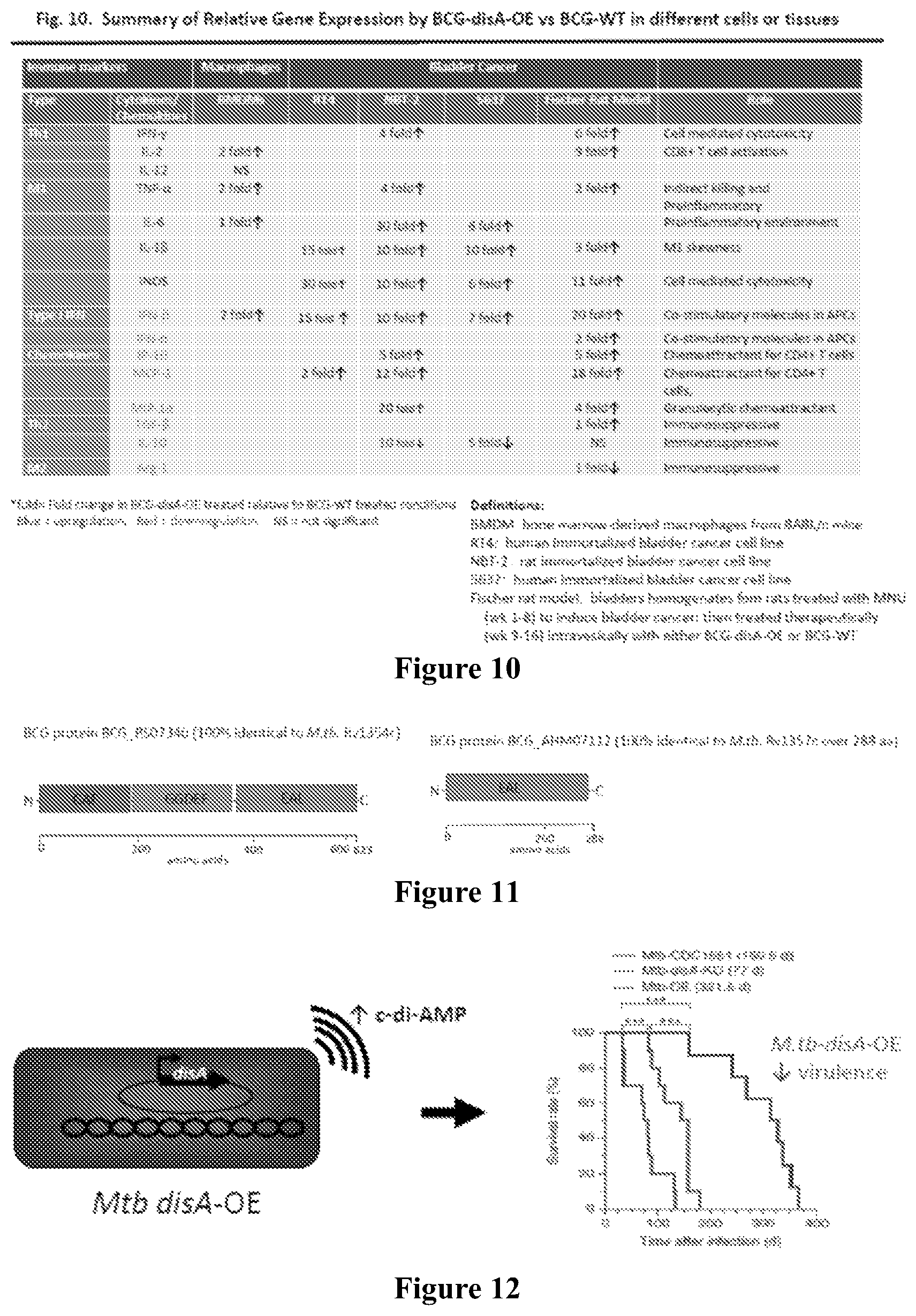Patent US12359209 Figure 3 – Recombinant therapeutic interventions for cancer