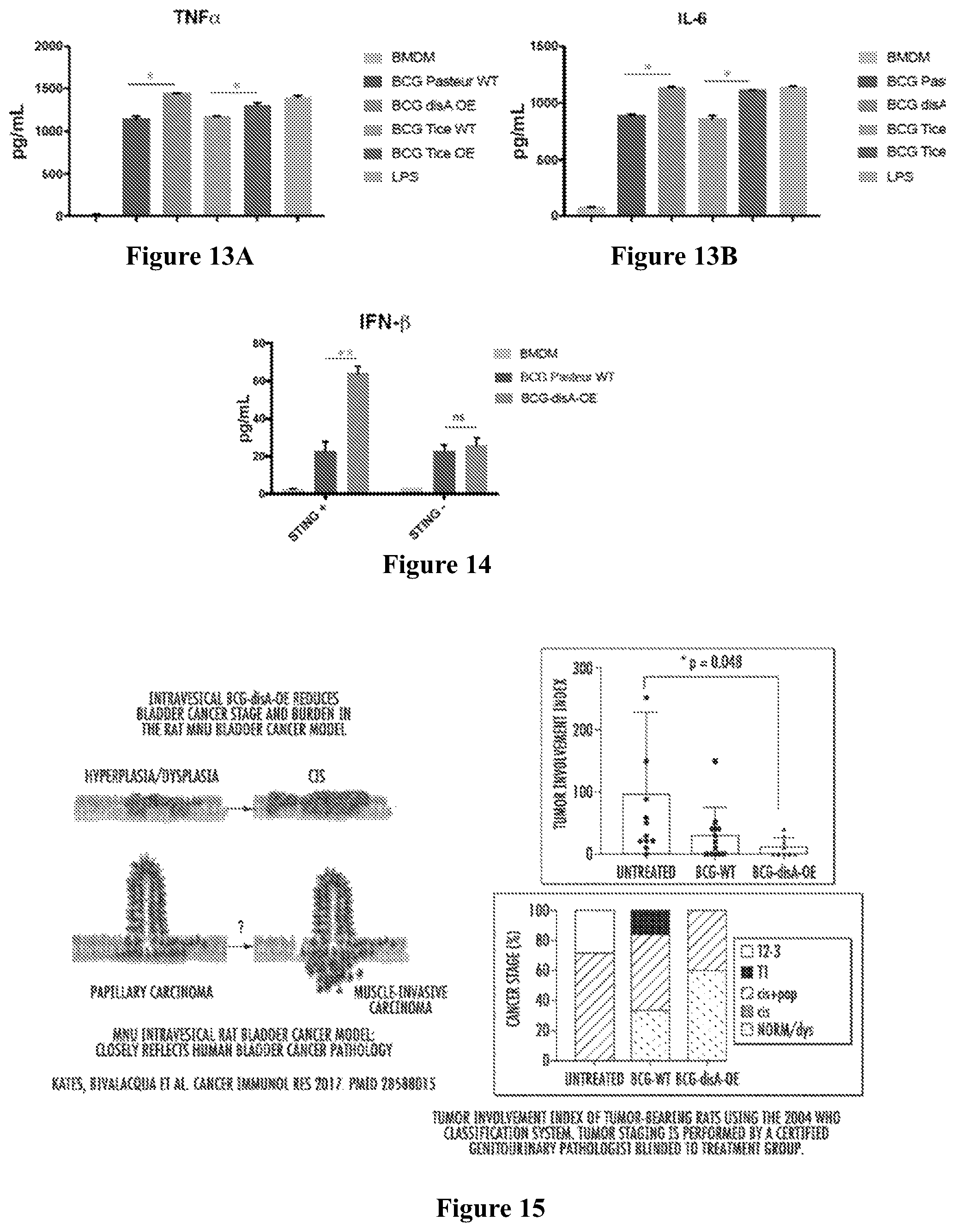 Patent US12359209 Figure 4 – Recombinant therapeutic interventions for cancer
