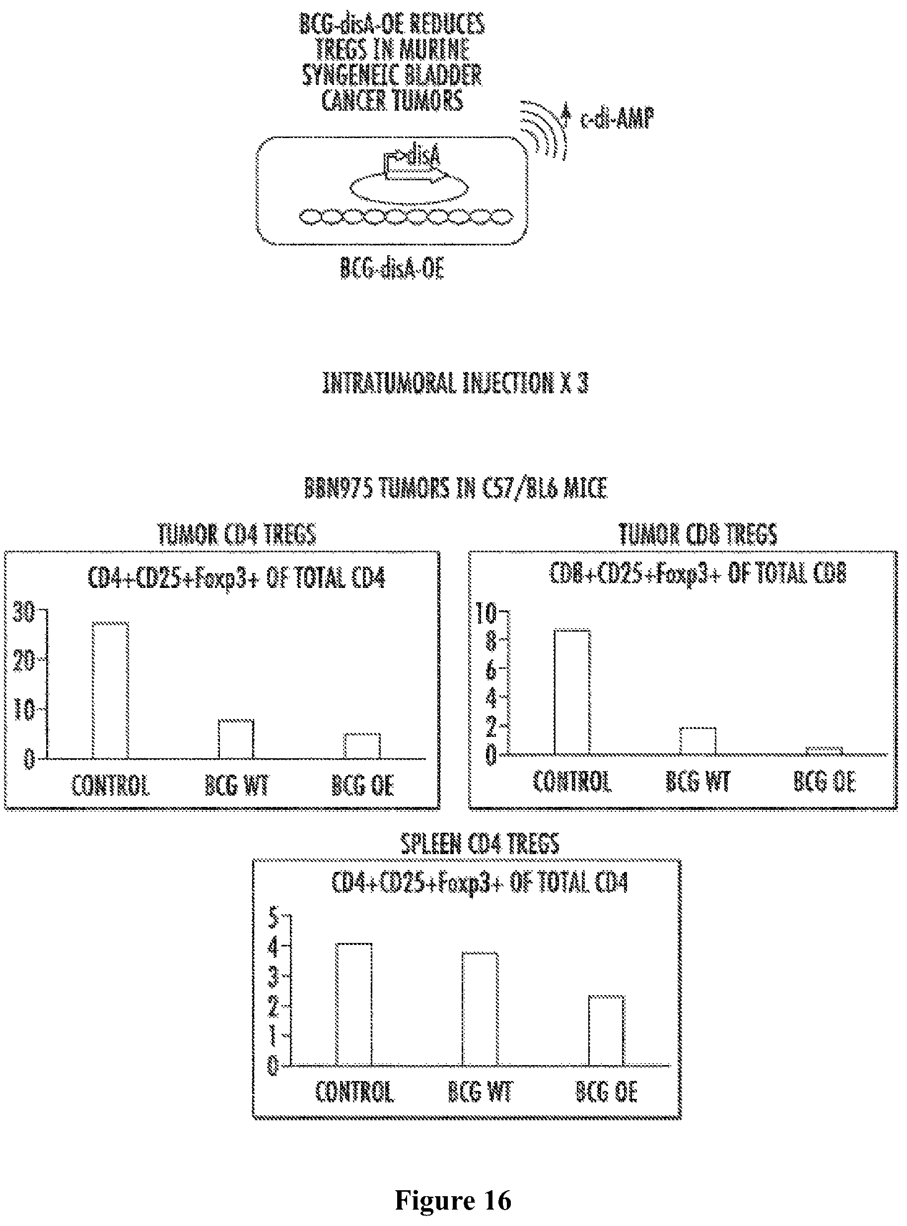 Patent US12359209 Figure 5 – Recombinant therapeutic interventions for cancer