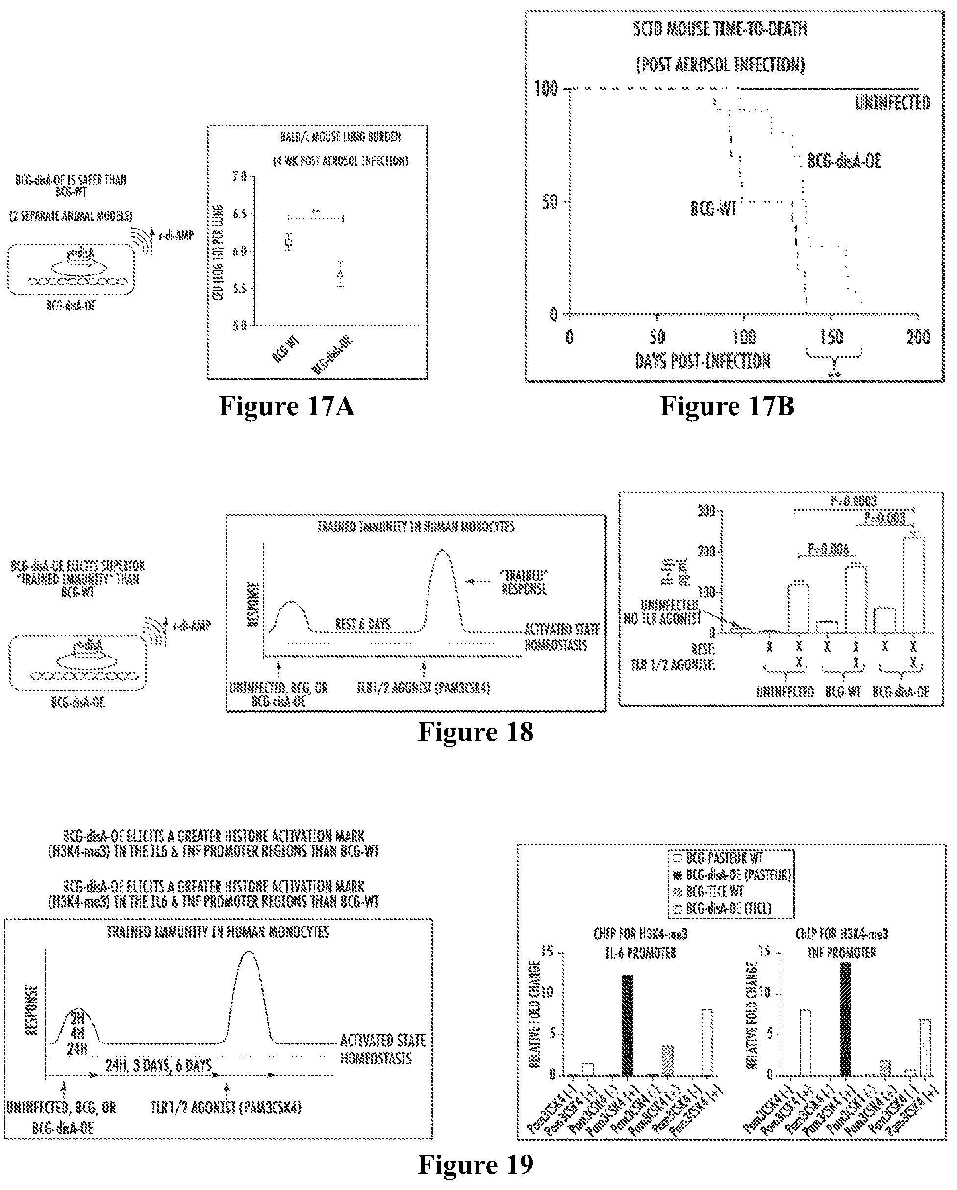 Patent US12359209 Figure 6 – Recombinant therapeutic interventions for cancer