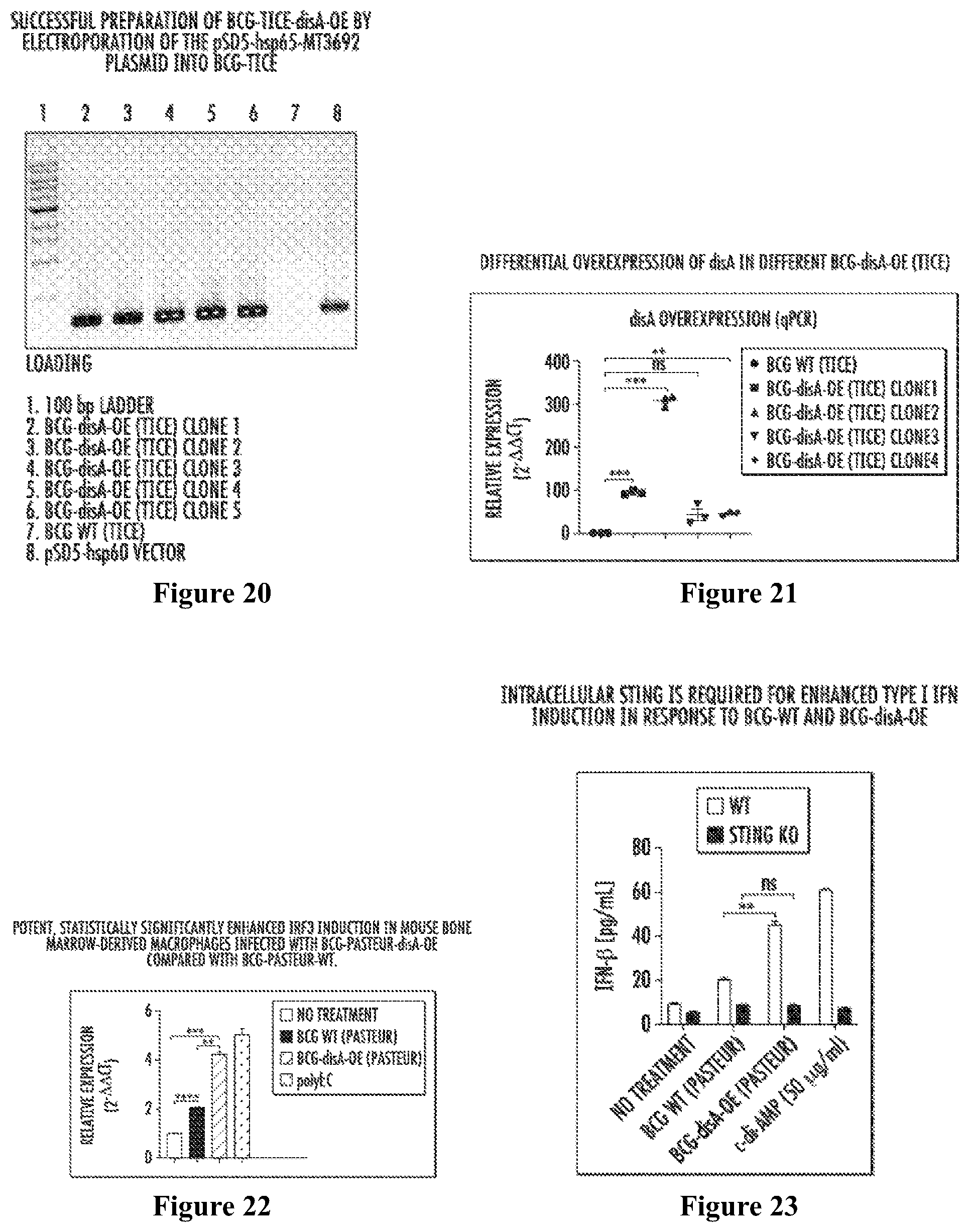 Patent US12359209 Figure 7 – Recombinant therapeutic interventions for cancer