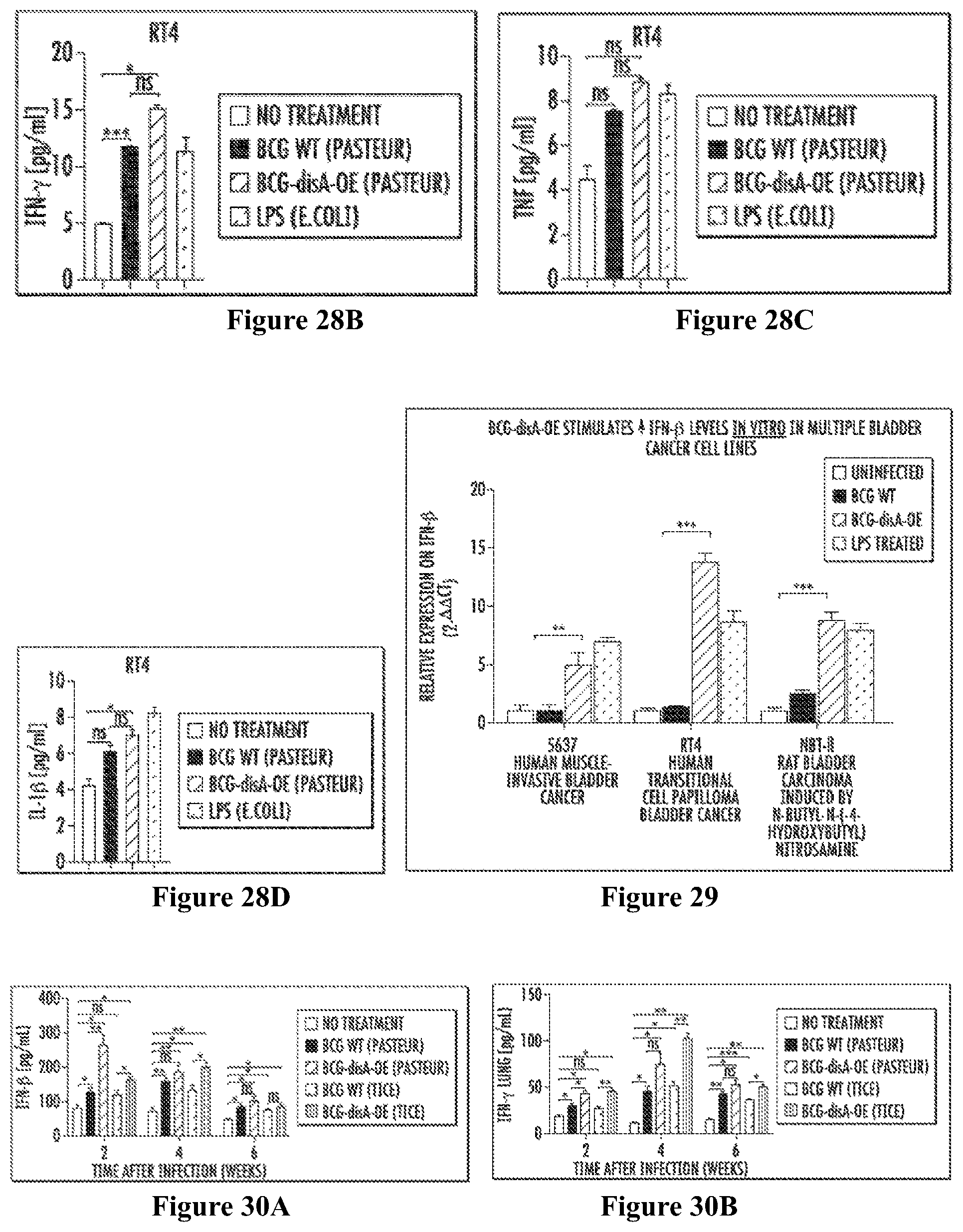 Patent US12359209 Figure 10 – Recombinant therapeutic interventions for cancer