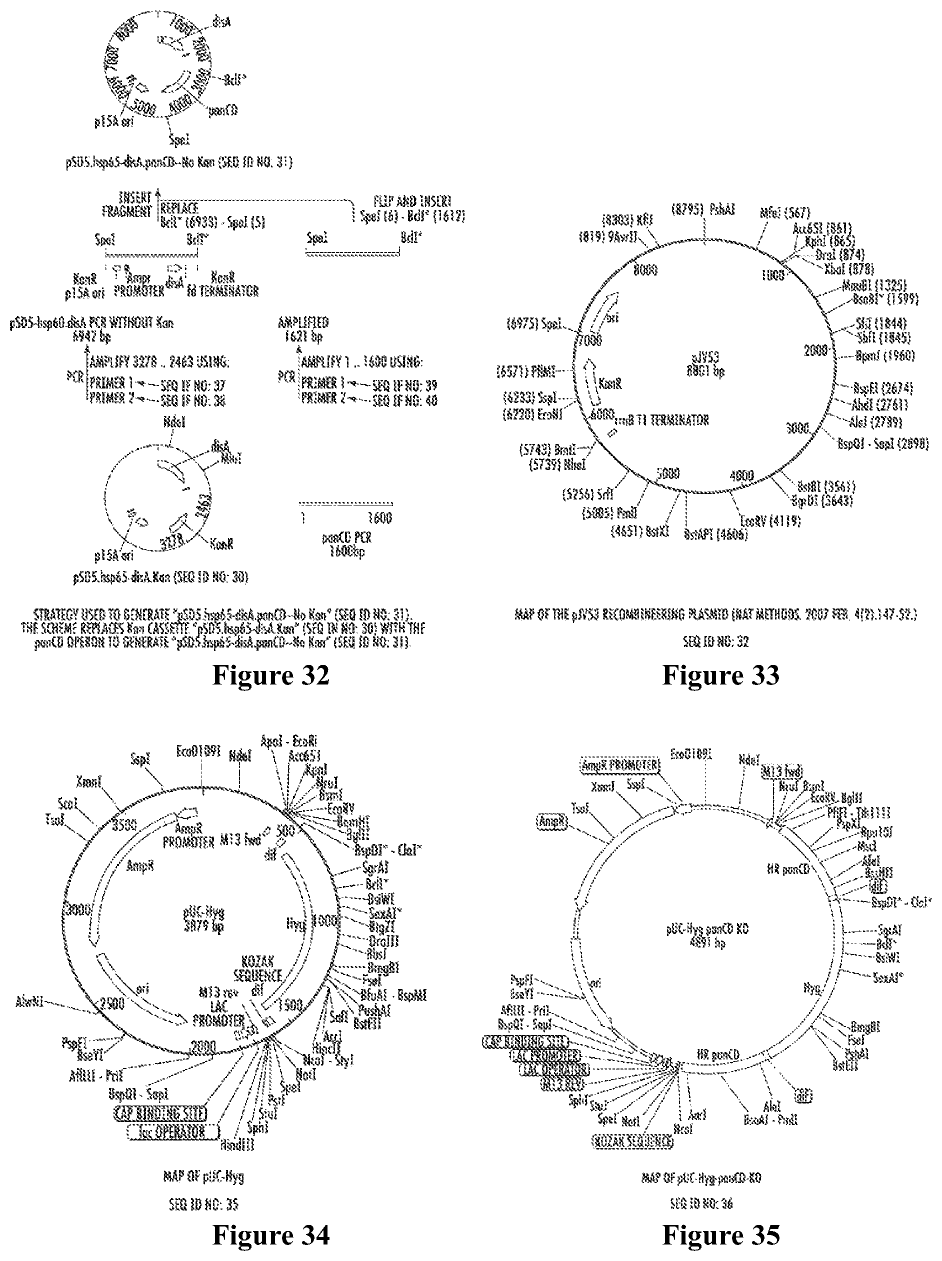 Patent US12359209 Figure 12 – Recombinant therapeutic interventions for cancer