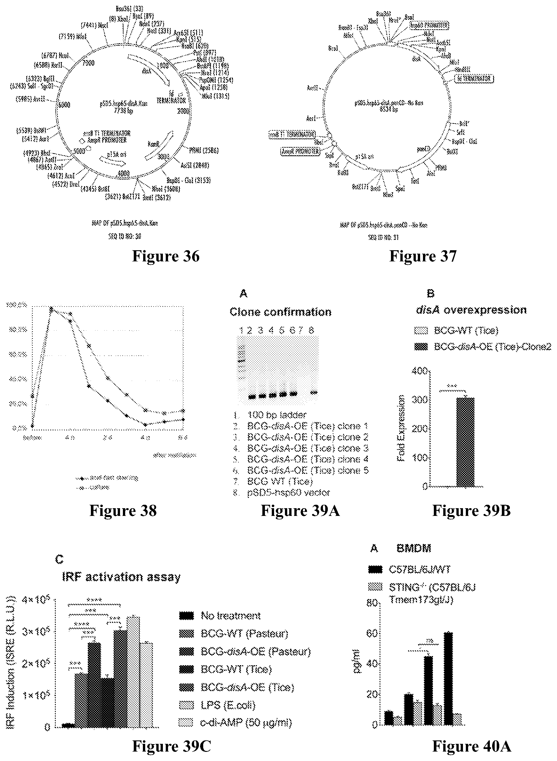Patent US12359209 Figure 13 – Recombinant therapeutic interventions for cancer