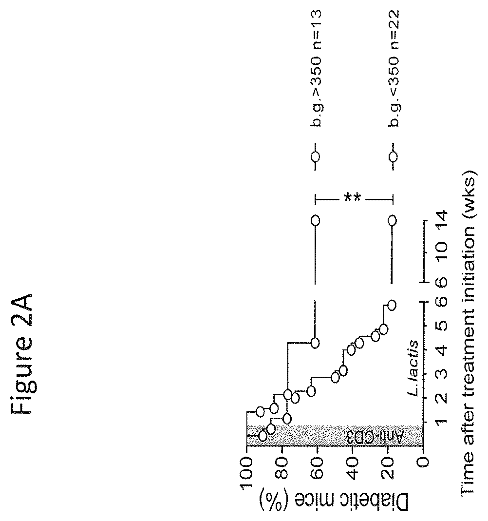 Patent US12359210 Figure 4 – Genetically modified bacteria stably expressing IL-10 and insulin