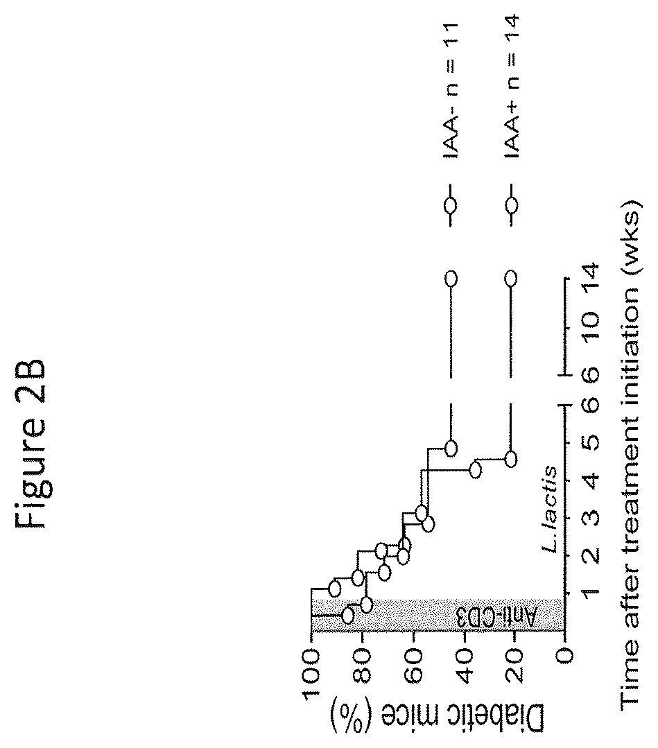 Patent US12359210 Figure 5 – Genetically modified bacteria stably expressing IL-10 and insulin