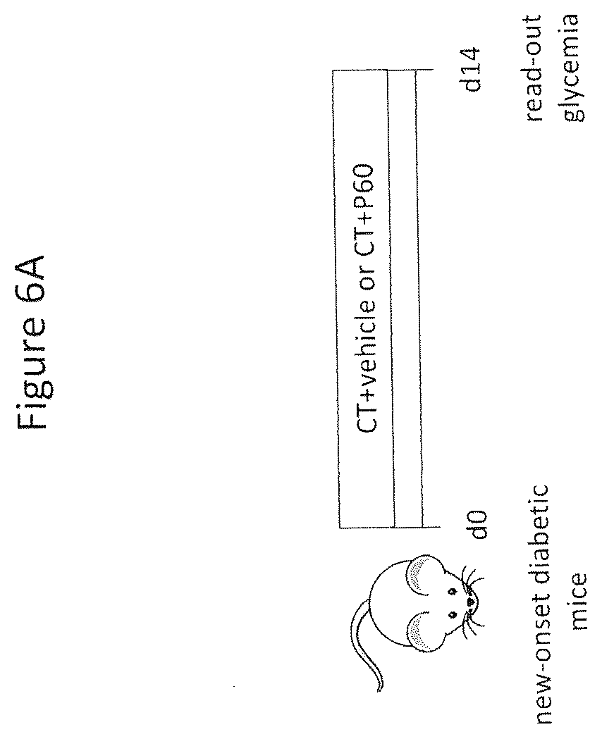 Patent US12359210 Figure 16 – Genetically modified bacteria stably expressing IL-10 and insulin