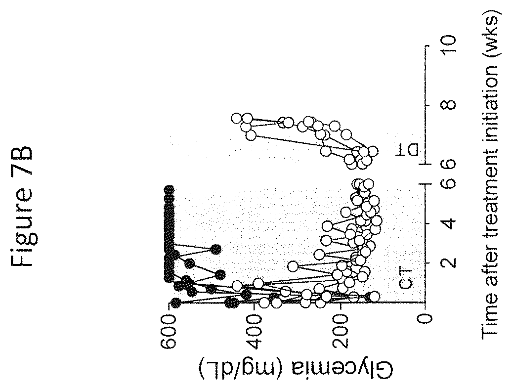 Patent US12359210 Figure 19 – Genetically modified bacteria stably expressing IL-10 and insulin