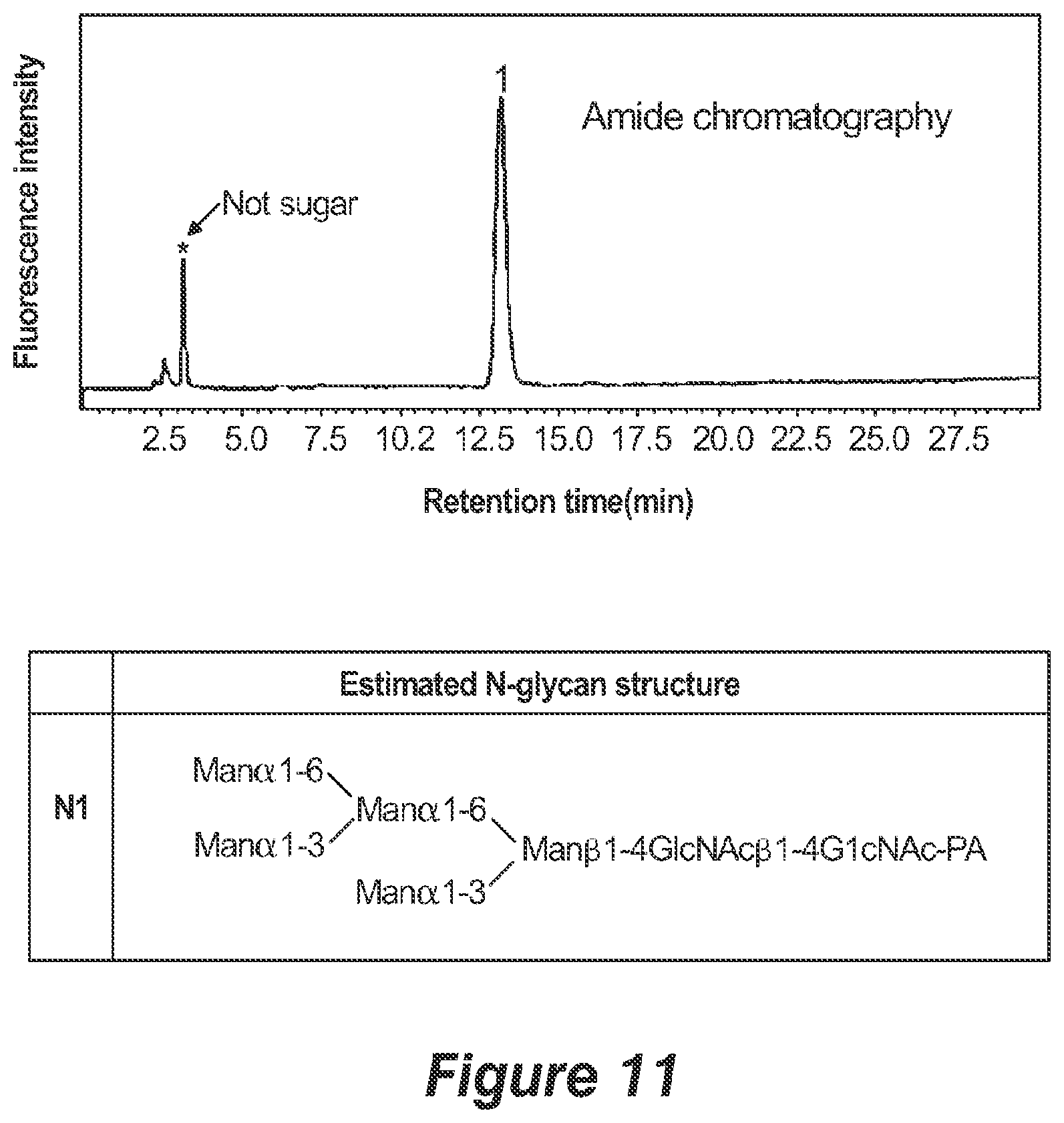 Patent US12359211 Figure 8 – Pichia pastoris strains for producing predominantly homogeneous glycan structure