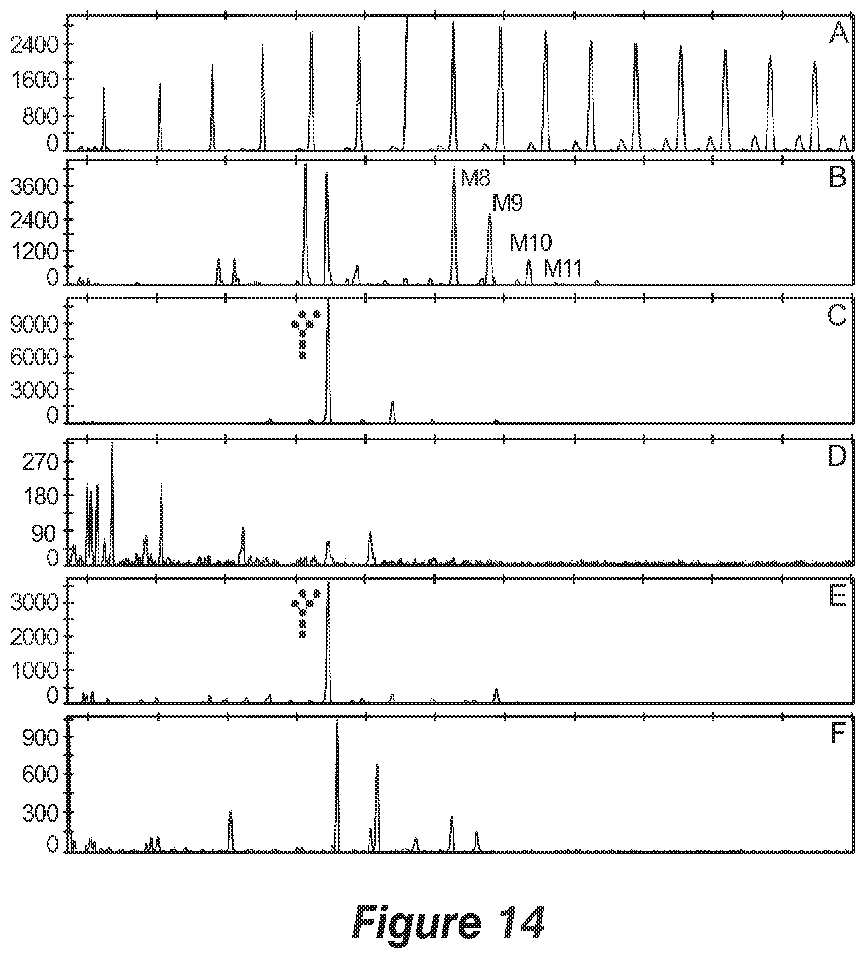 Patent US12359211 Figure 11 – Pichia pastoris strains for producing predominantly homogeneous glycan structure