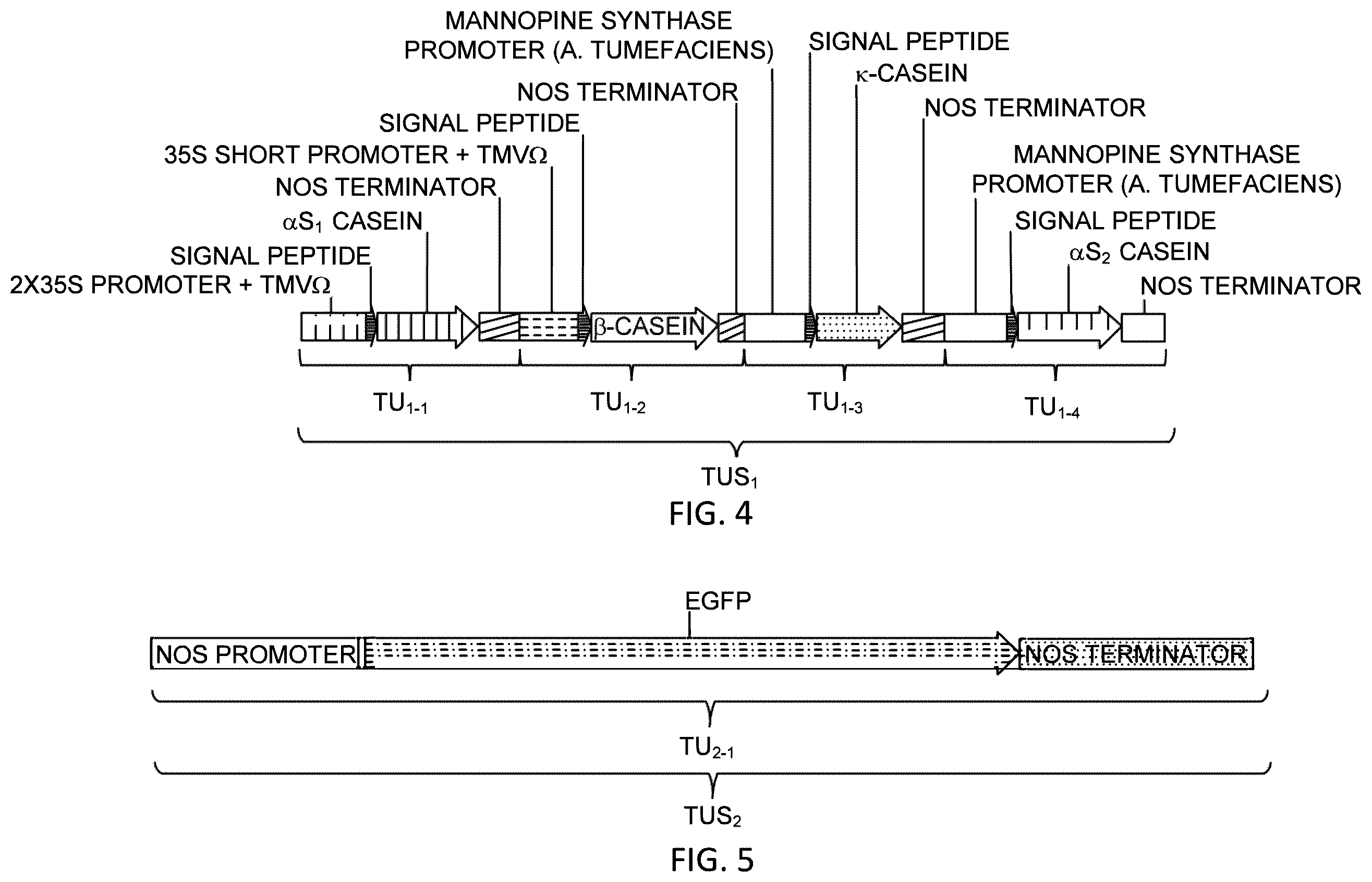 Patent US12359212 Figure 7 – Recombinant micelle and method of in vivo assembly