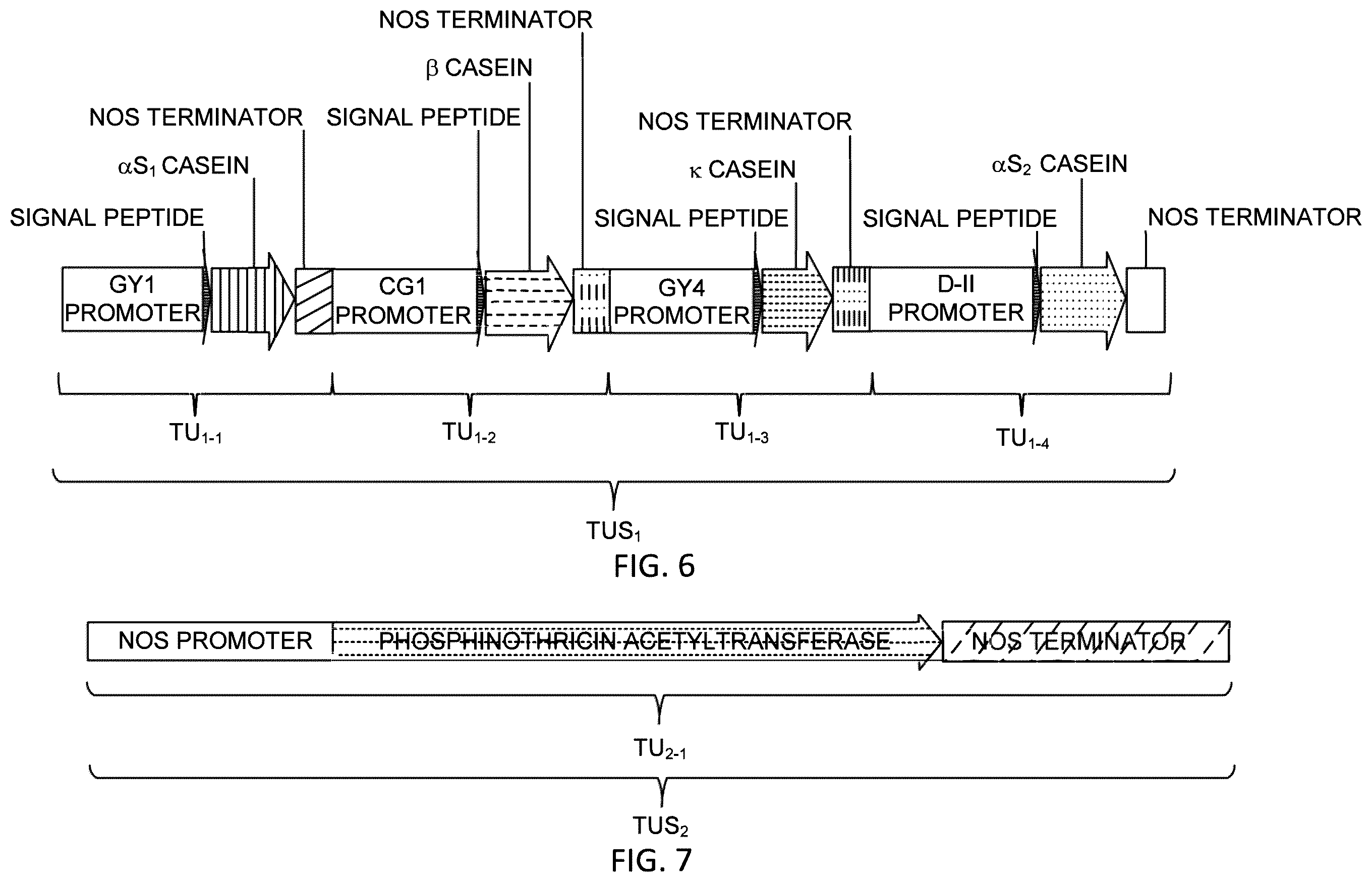 Patent US12359212 Figure 8 – Recombinant micelle and method of in vivo assembly