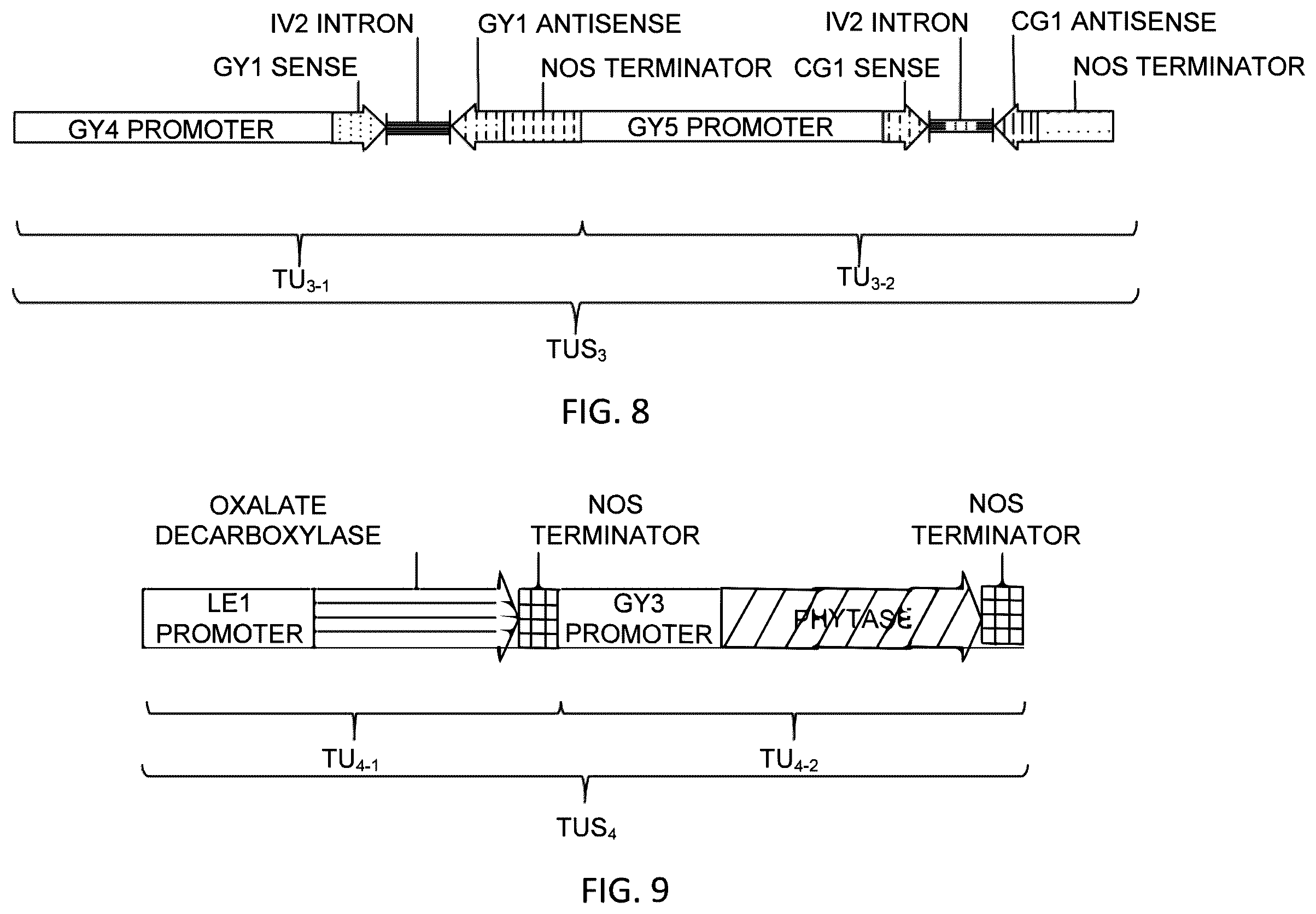 Patent US12359212 Figure 9 – Recombinant micelle and method of in vivo assembly