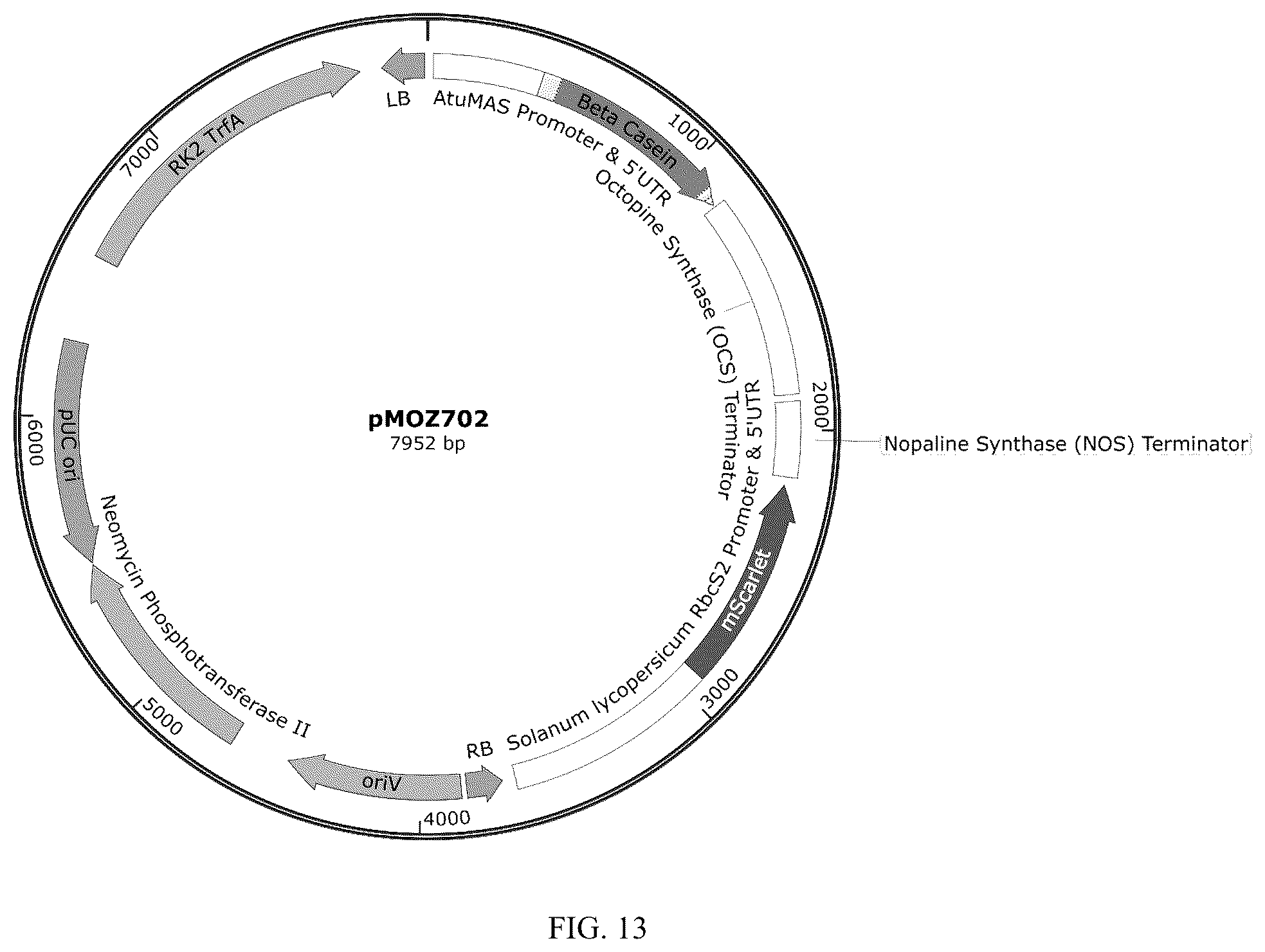 Patent US12359212 Figure 13 – Recombinant micelle and method of in vivo assembly