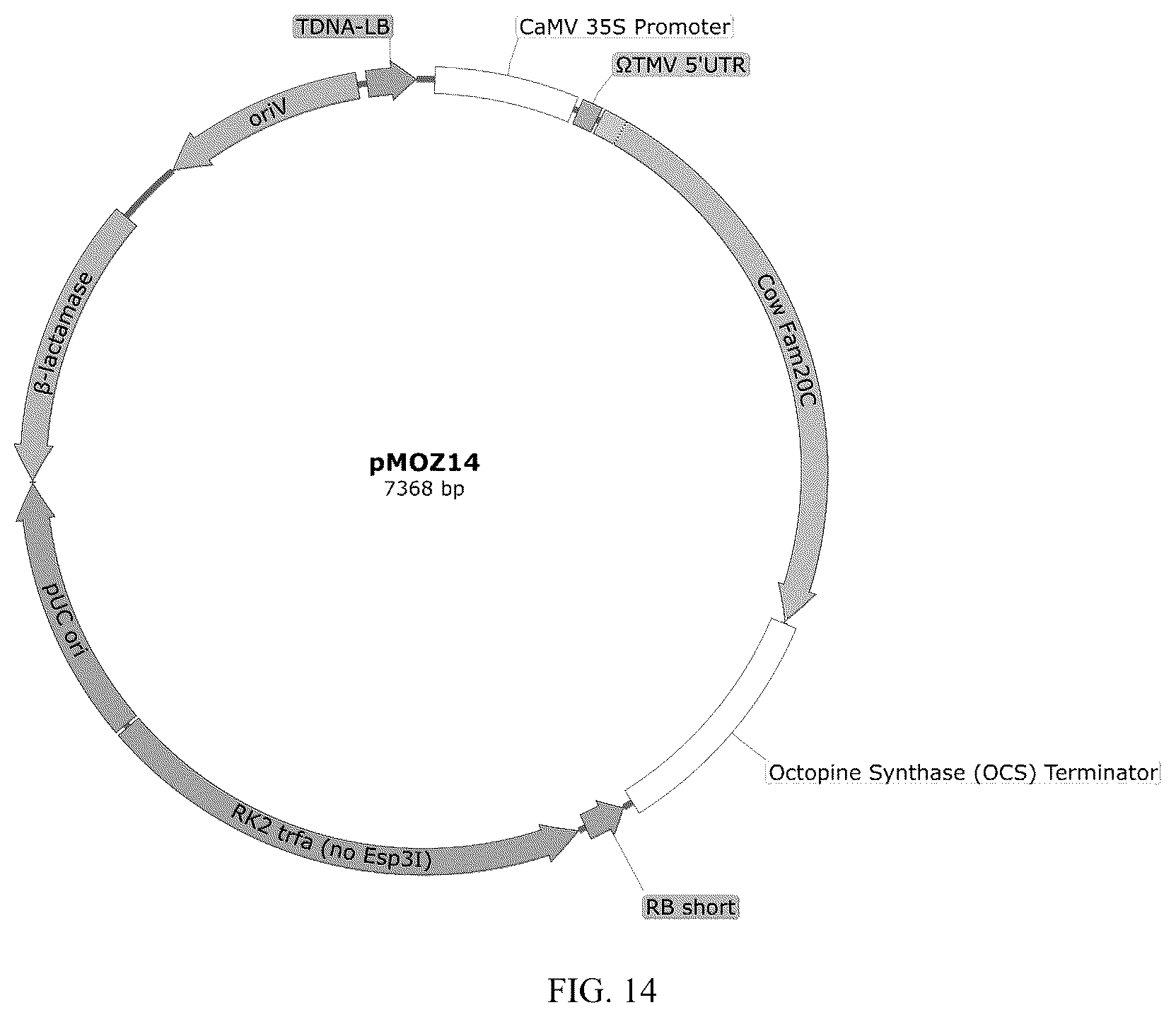 Patent US12359212 Figure 14 – Recombinant micelle and method of in vivo assembly