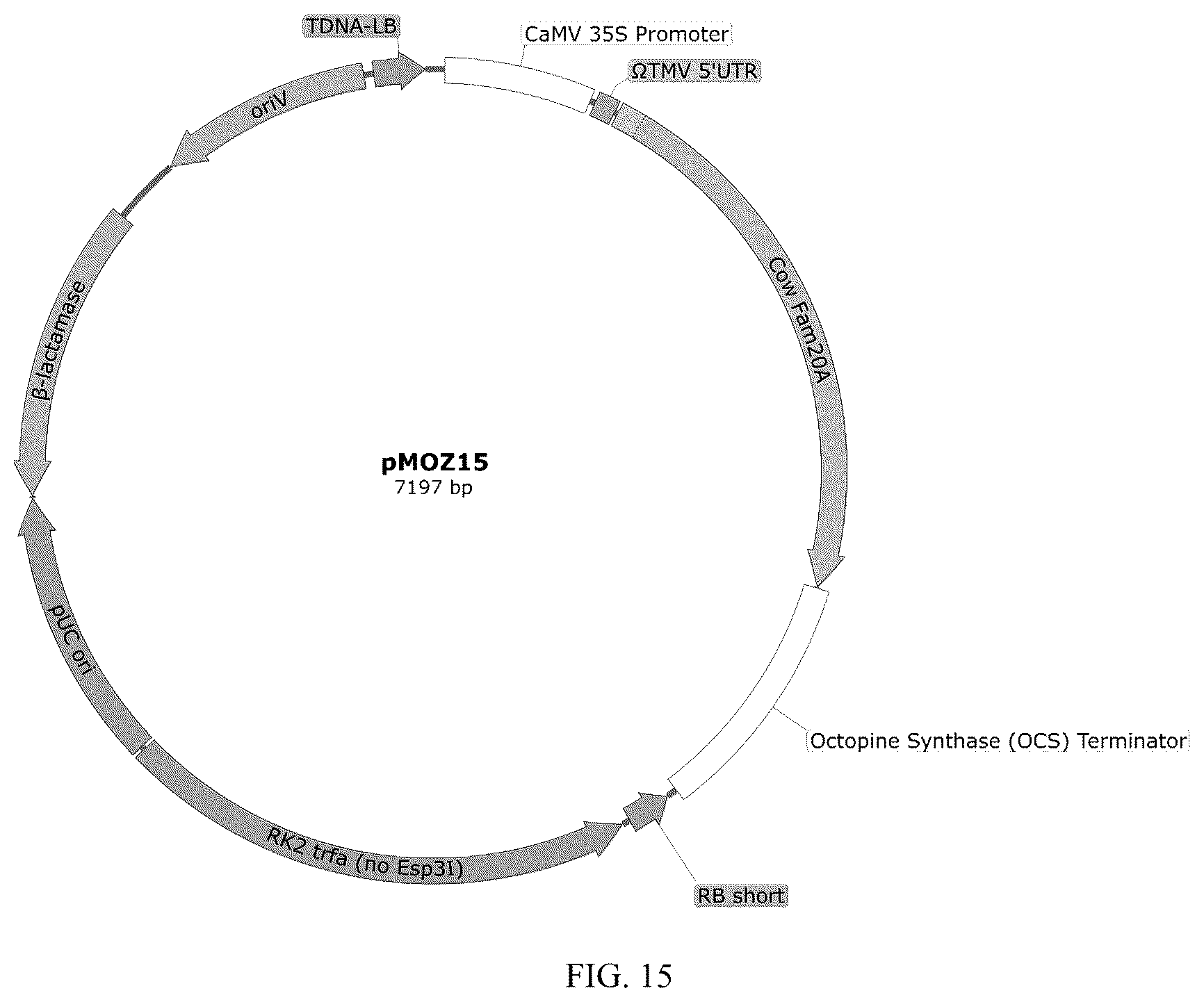 Patent US12359212 Figure 15 – Recombinant micelle and method of in vivo assembly