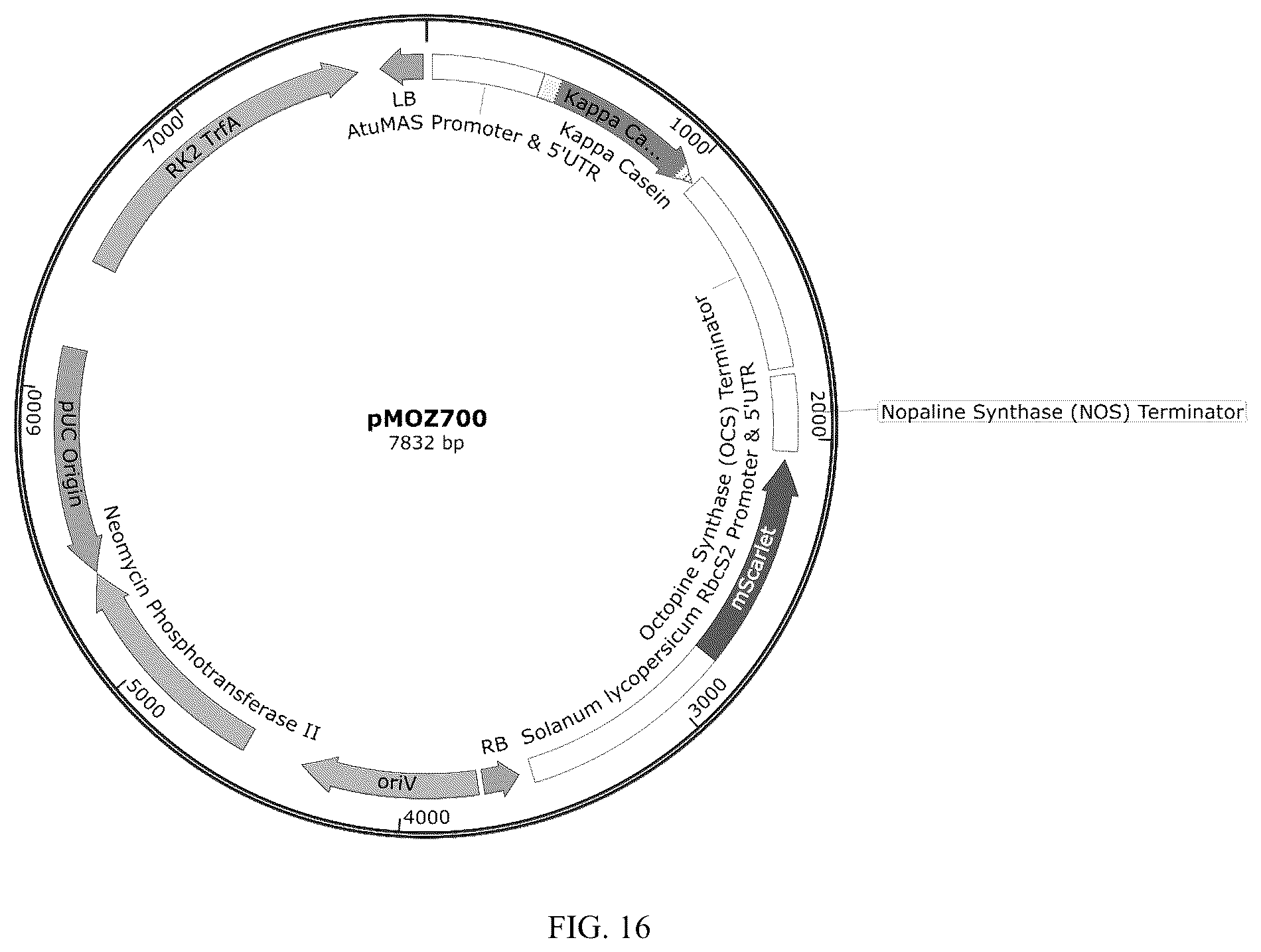 Patent US12359212 Figure 16 – Recombinant micelle and method of in vivo assembly