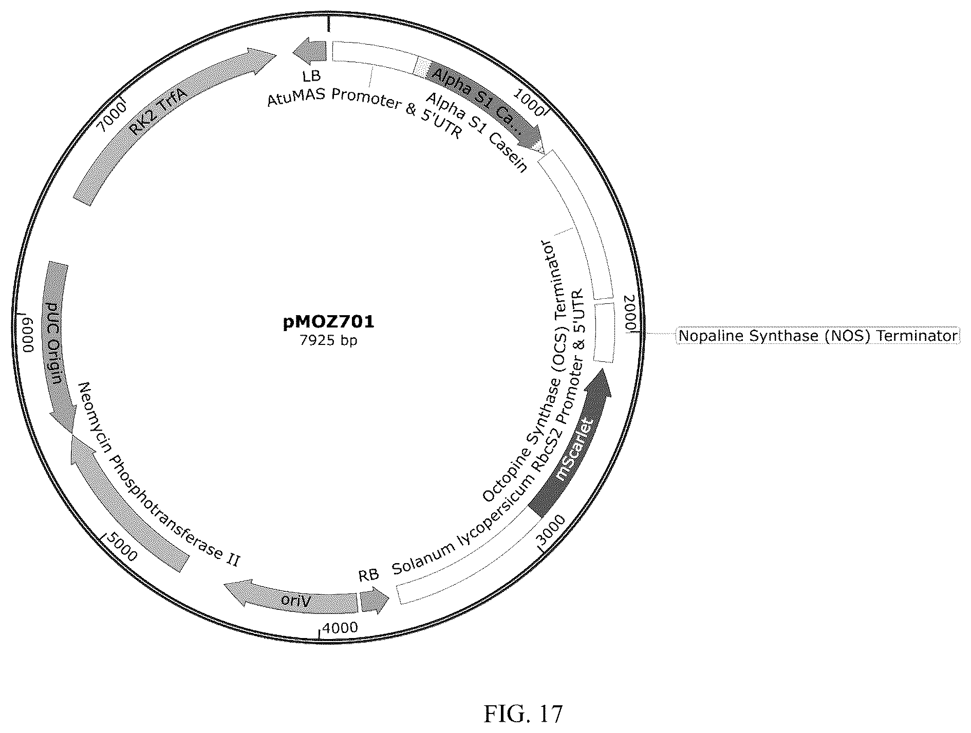 Patent US12359212 Figure 17 – Recombinant micelle and method of in vivo assembly