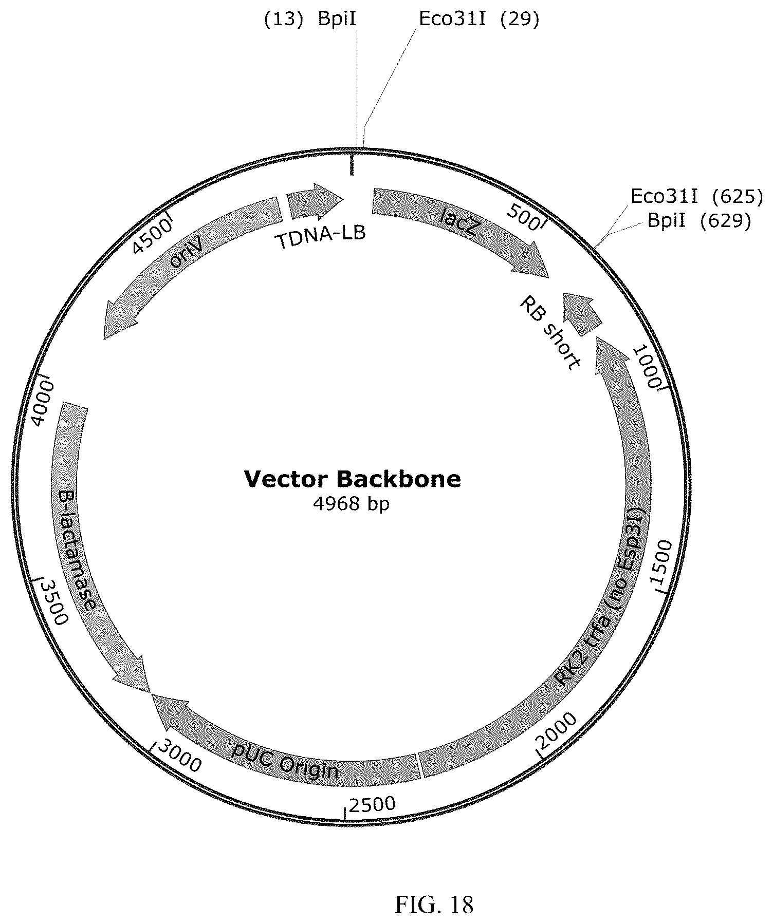 Patent US12359212 Figure 18 – Recombinant micelle and method of in vivo assembly