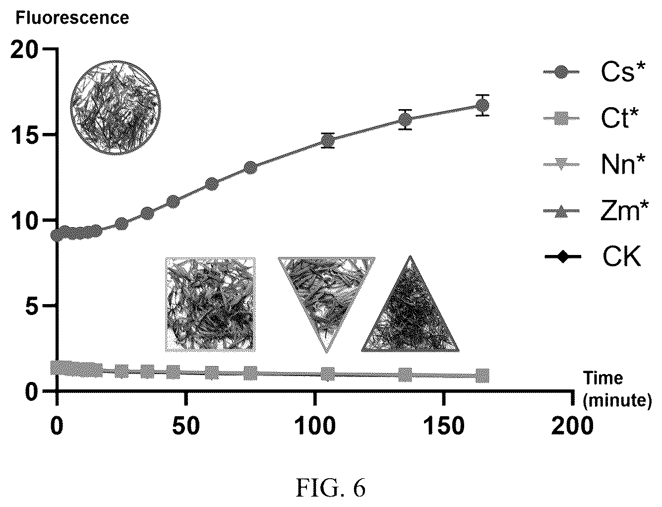 Patent US12359213 Figure 5 – Method and use for identifying plant species based on whole genome analysis and genome editing