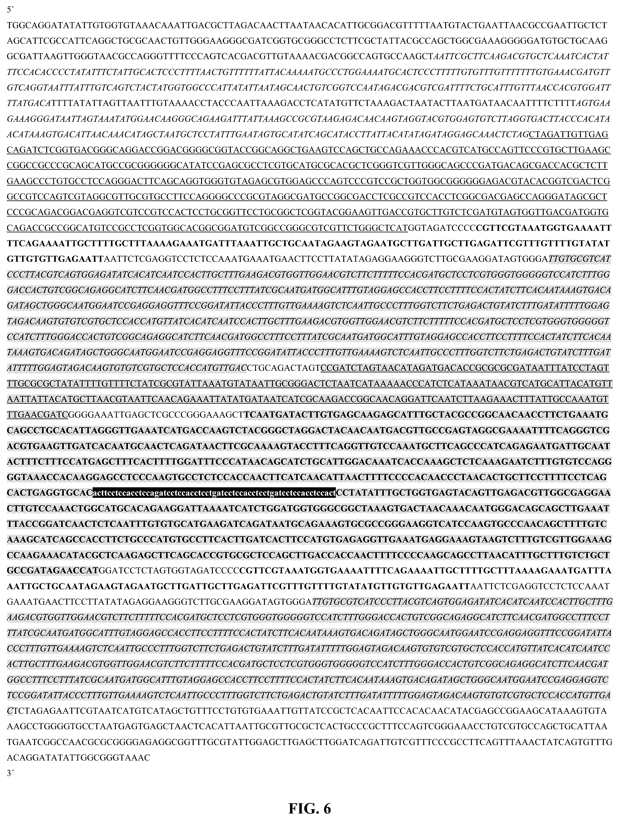 Patent US12359214 Figure 4 – High expression of animal heme protein in plants
