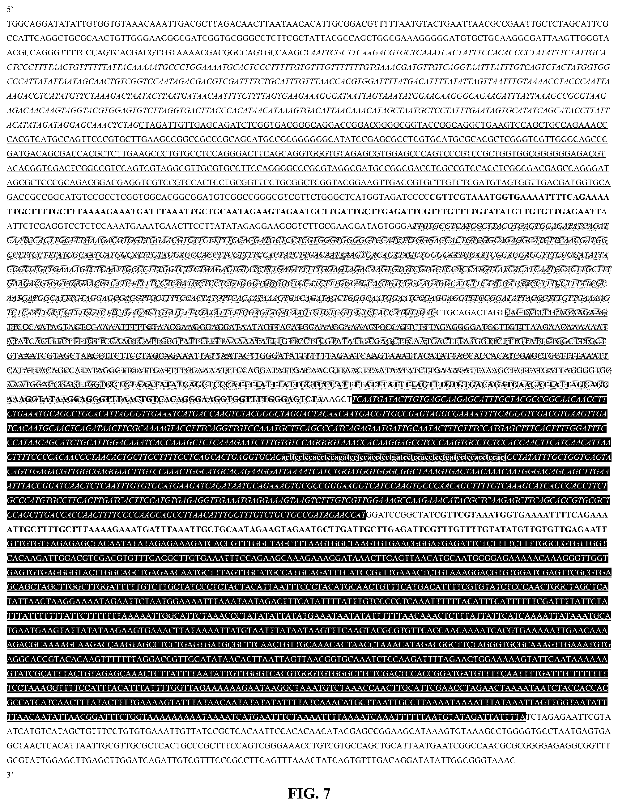 Patent US12359214 Figure 5 – High expression of animal heme protein in plants