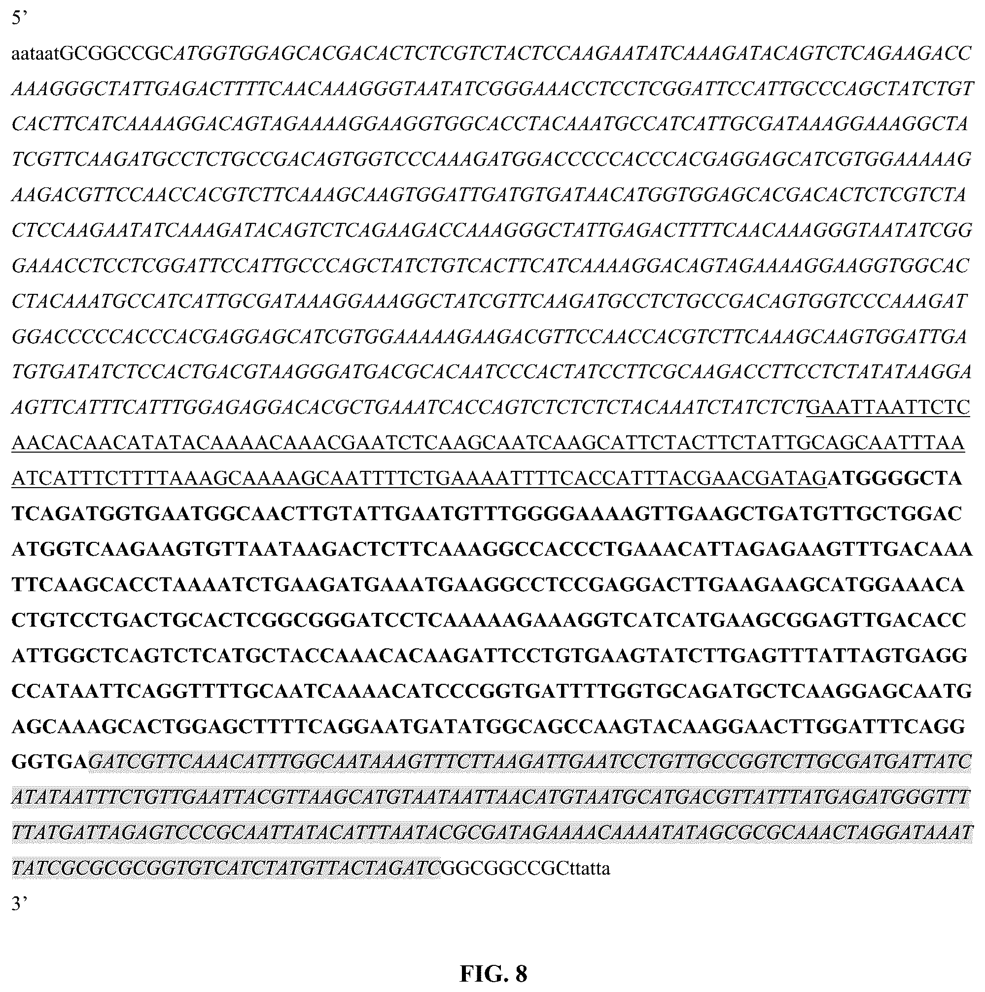 Patent US12359214 Figure 6 – High expression of animal heme protein in plants