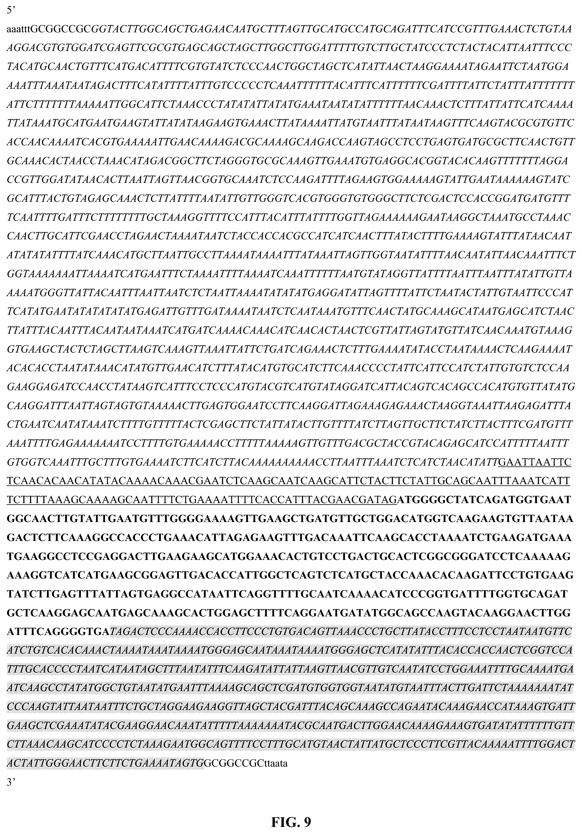 Patent US12359214 Figure 7 – High expression of animal heme protein in plants