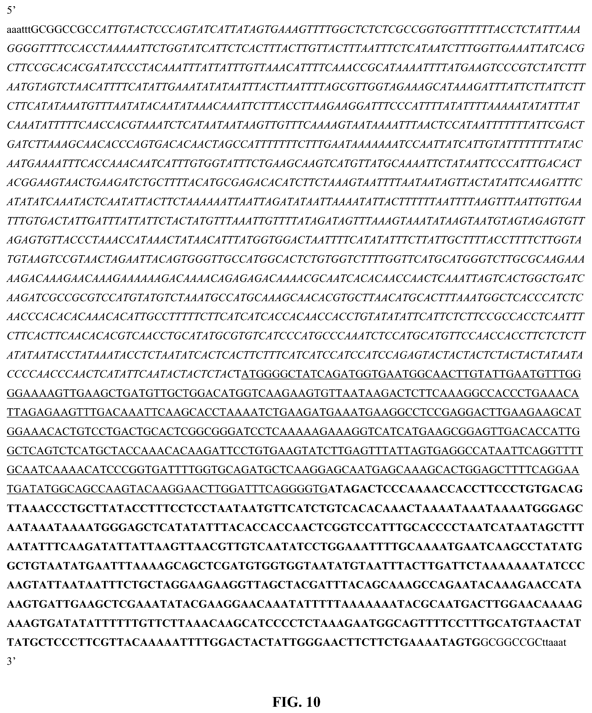 Patent US12359214 Figure 8 – High expression of animal heme protein in plants