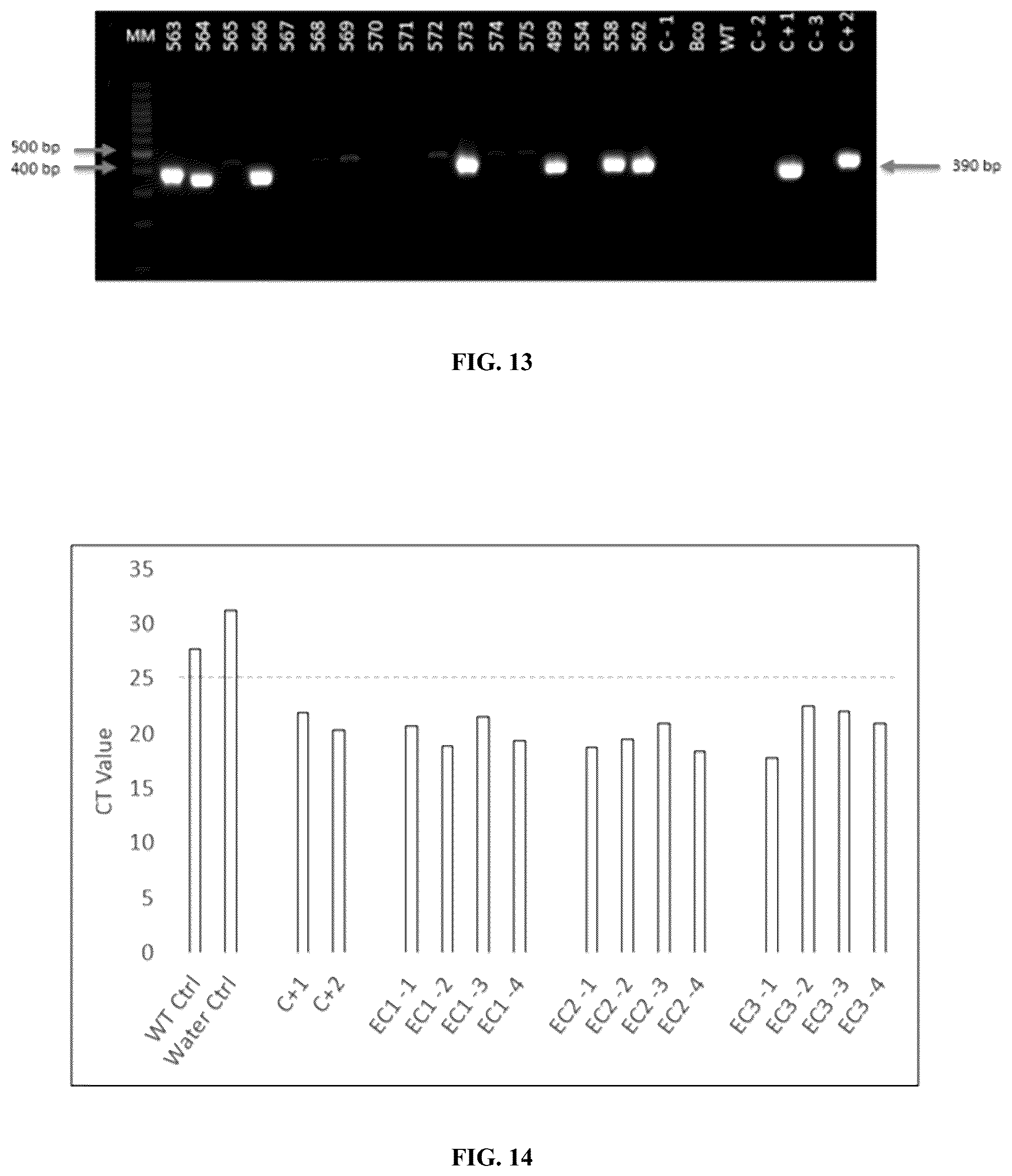 Patent US12359214 Figure 10 – High expression of animal heme protein in plants