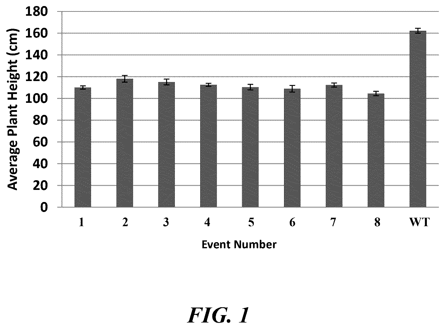 Patent US12359216 — Methods and compositions for short stature plants through manipulation of gibberellin metabolism to increase harvestable yield — Figure 1