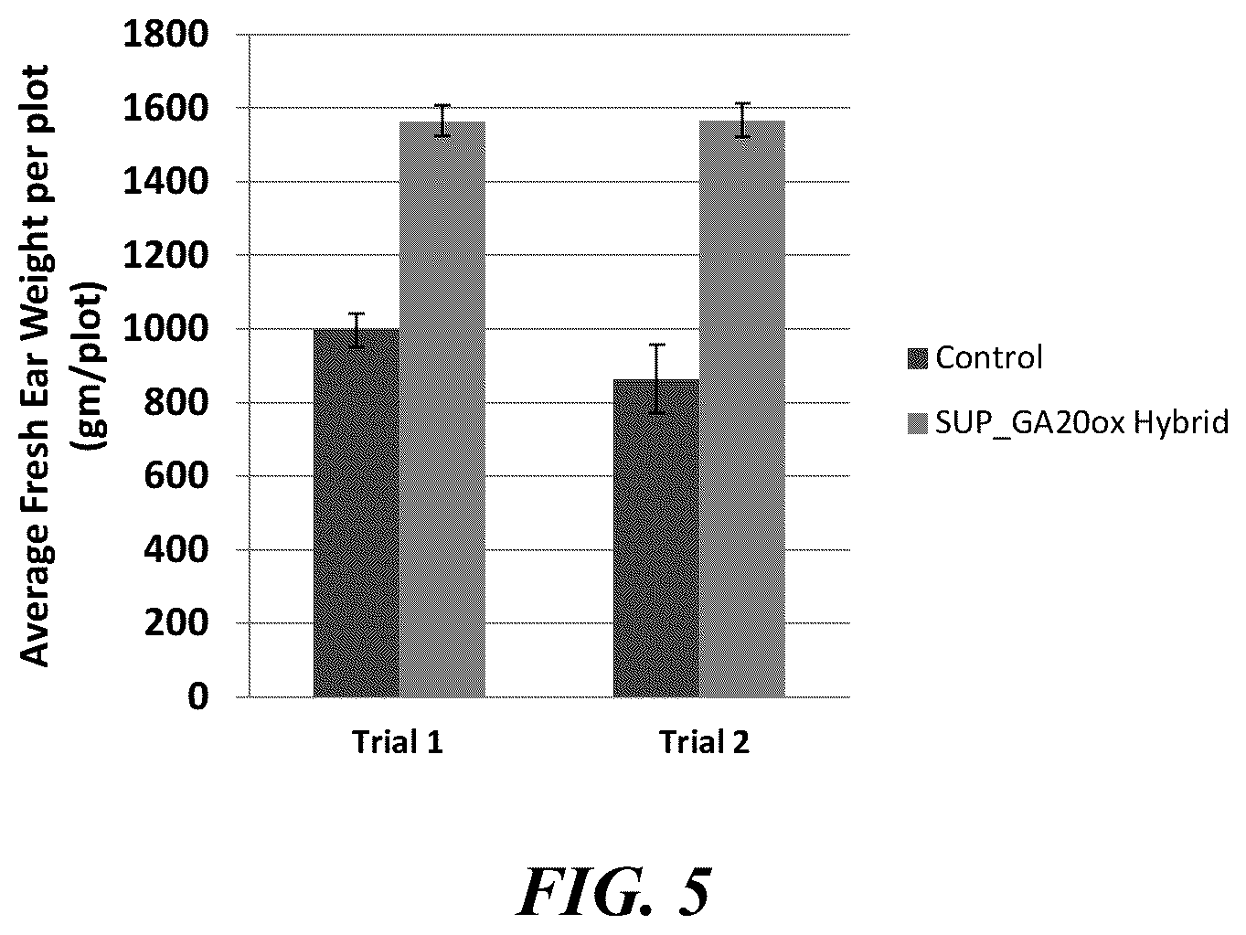 Patent US12359216 Figure 5 – Methods and compositions for short stature plants through manipulation of gibberellin metabolism to increase harvestable yield