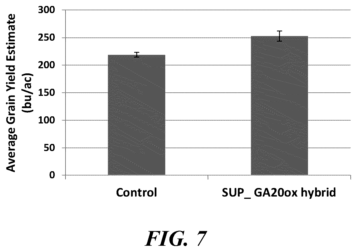 Patent US12359216 Figure 7 – Methods and compositions for short stature plants through manipulation of gibberellin metabolism to increase harvestable yield