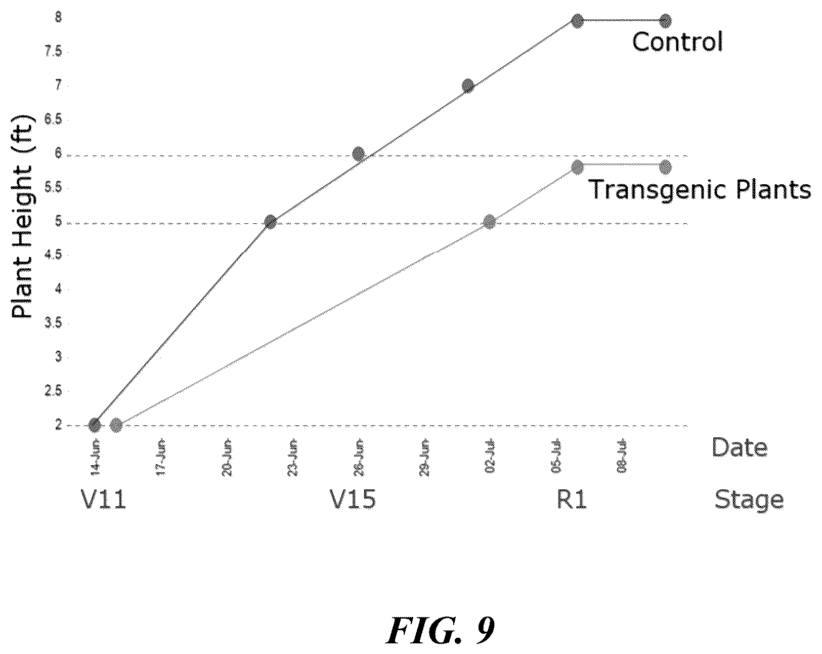 Patent US12359216 Figure 9 – Methods and compositions for short stature plants through manipulation of gibberellin metabolism to increase harvestable yield