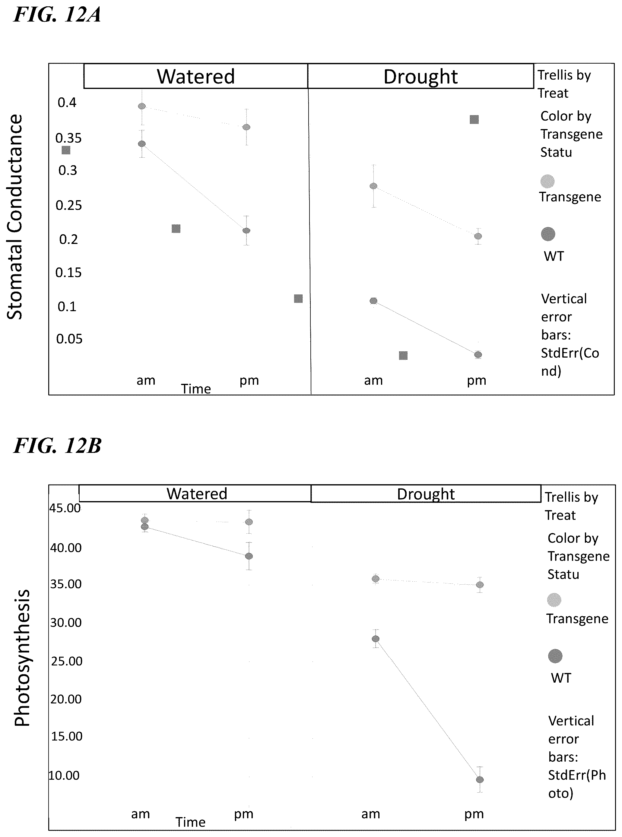 Patent US12359216 Figure 12 – Methods and compositions for short stature plants through manipulation of gibberellin metabolism to increase harvestable yield