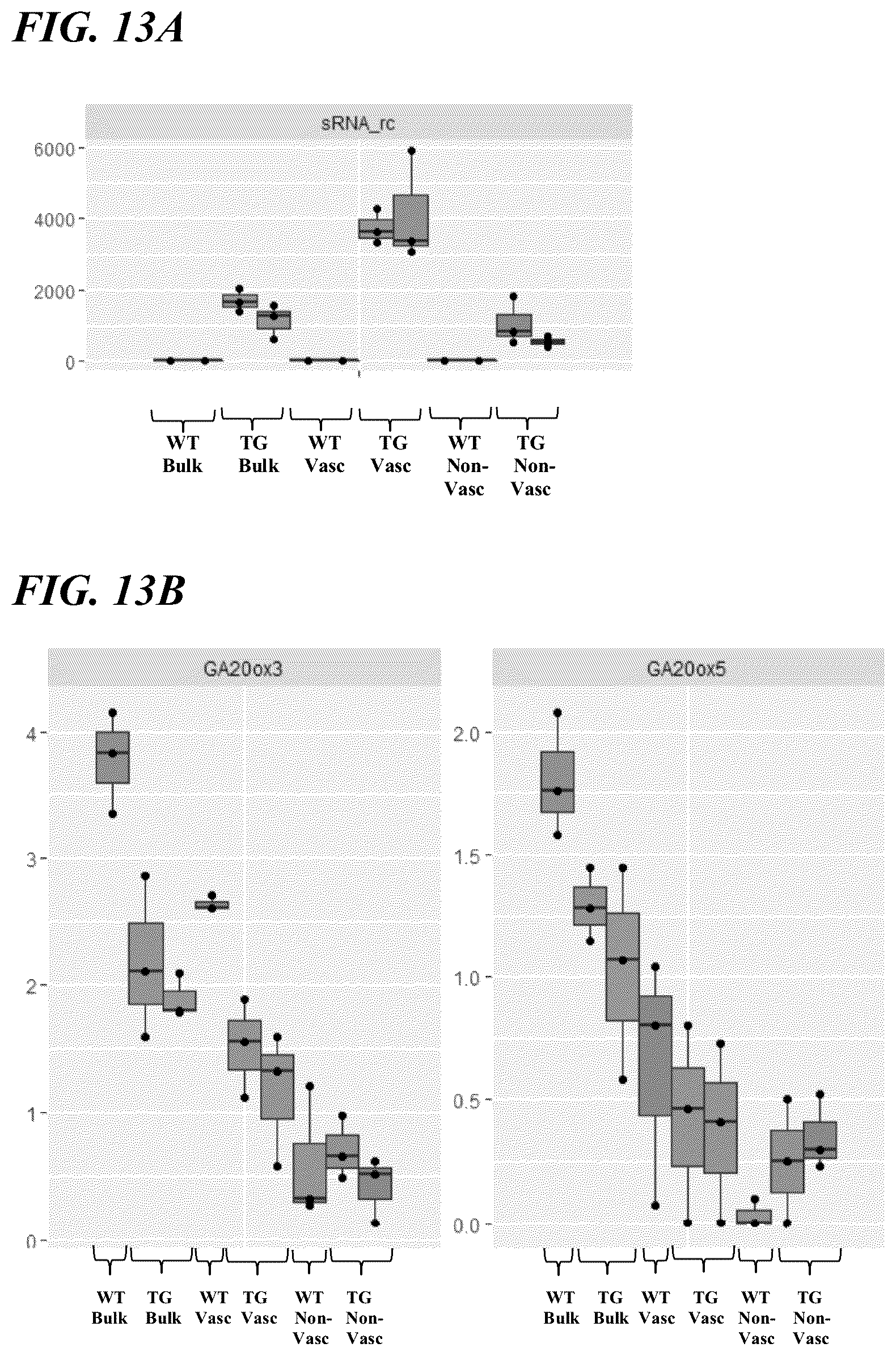 Patent US12359216 Figure 13 – Methods and compositions for short stature plants through manipulation of gibberellin metabolism to increase harvestable yield