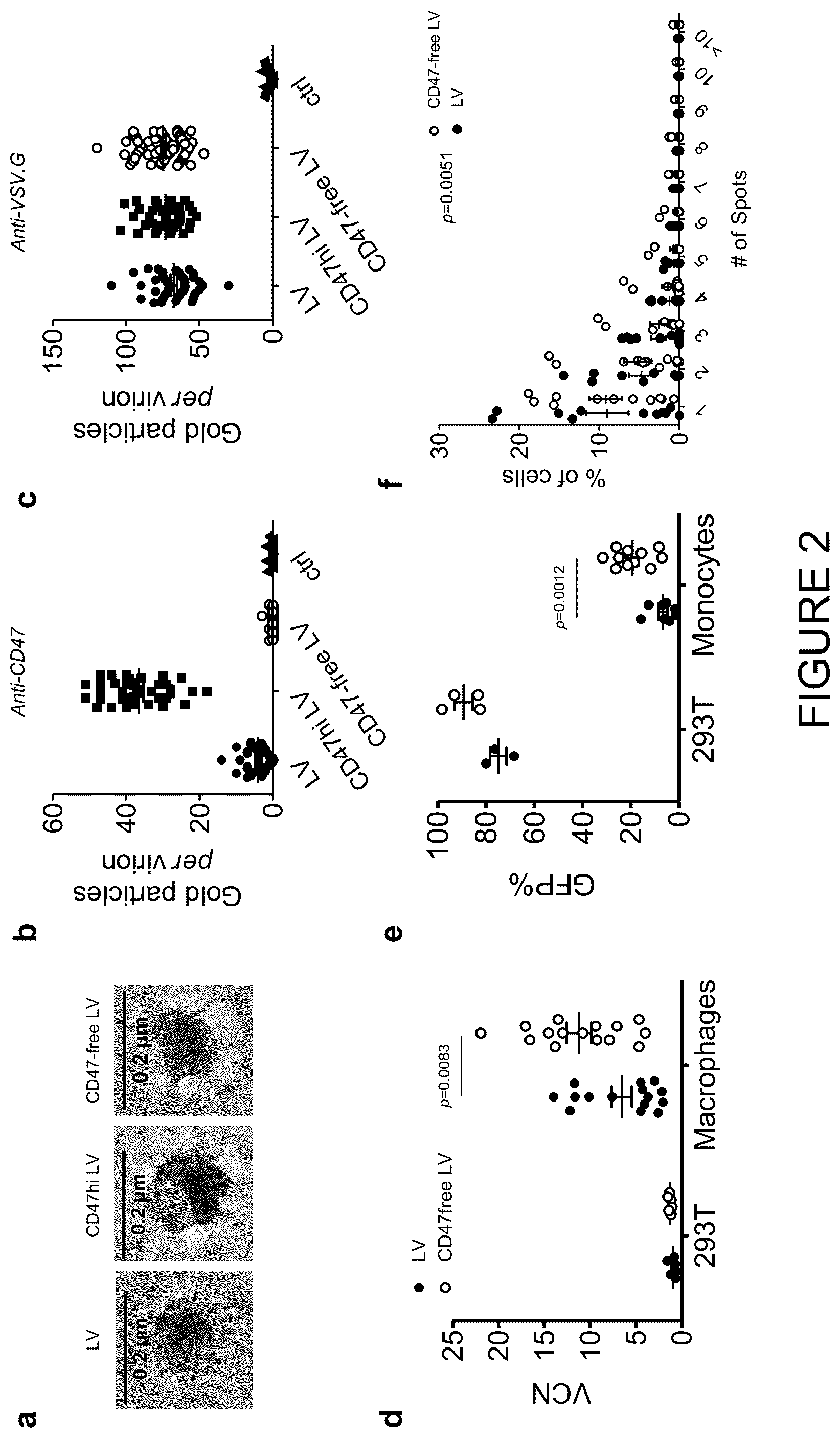 Patent US12359217 Figure 2 – Virus vector production