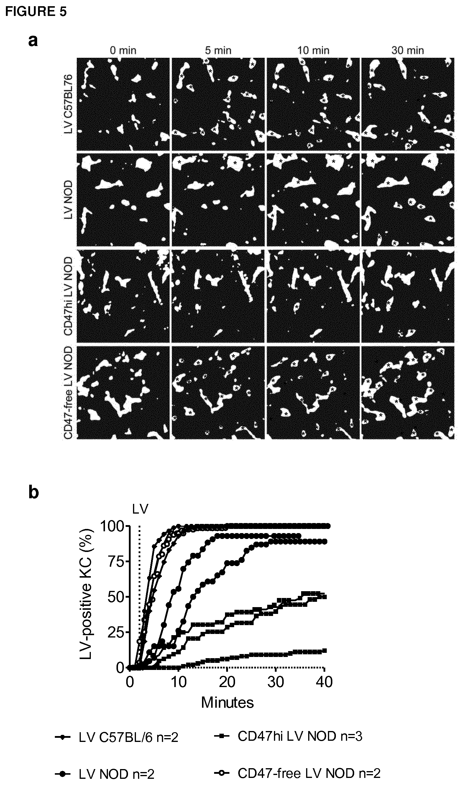Patent US12359217 Figure 7 – Virus vector production