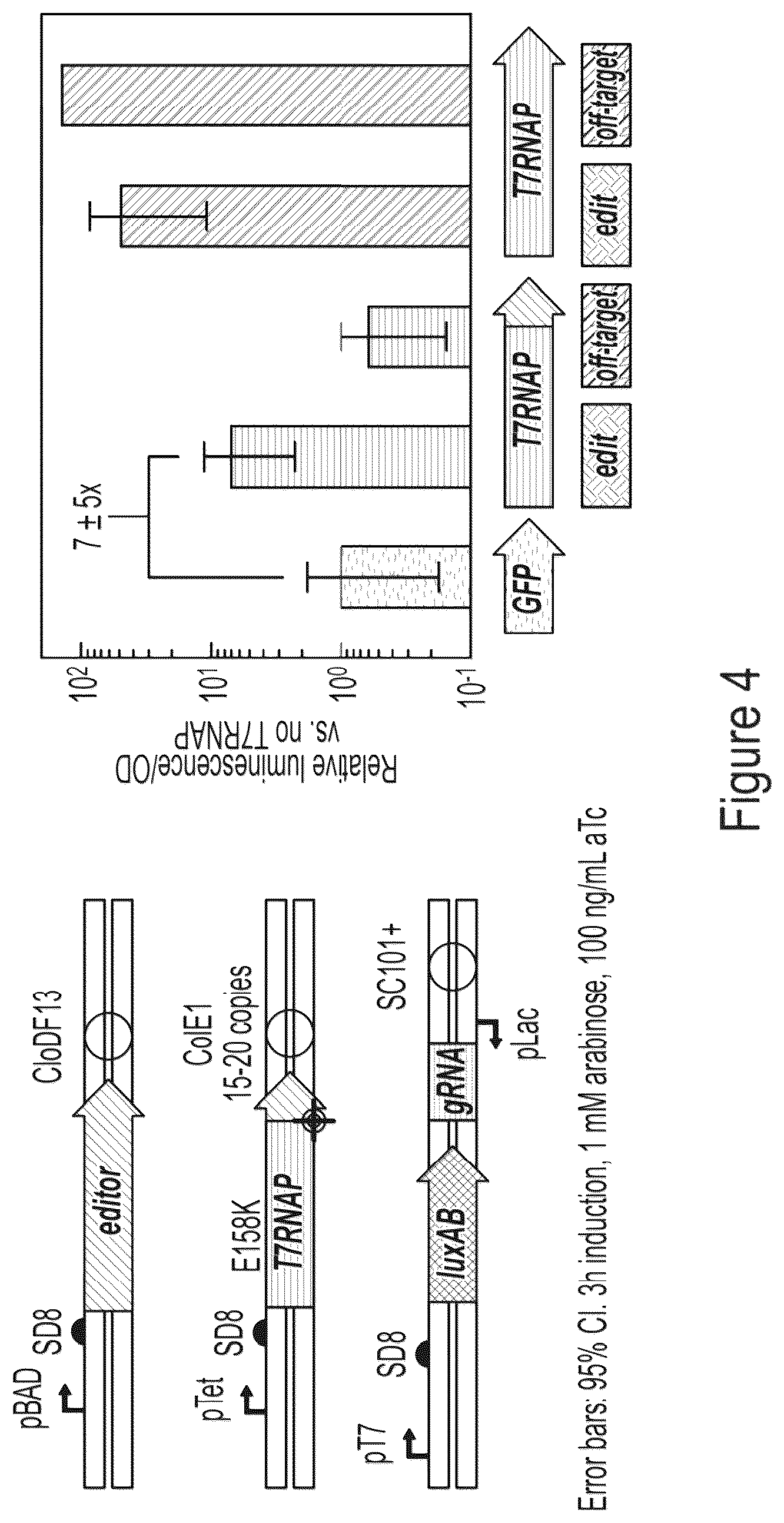 Patent US12359218 Figure 4 – Methods and compositions for evolving base editors using phage-assisted continuous evolution (PACE)