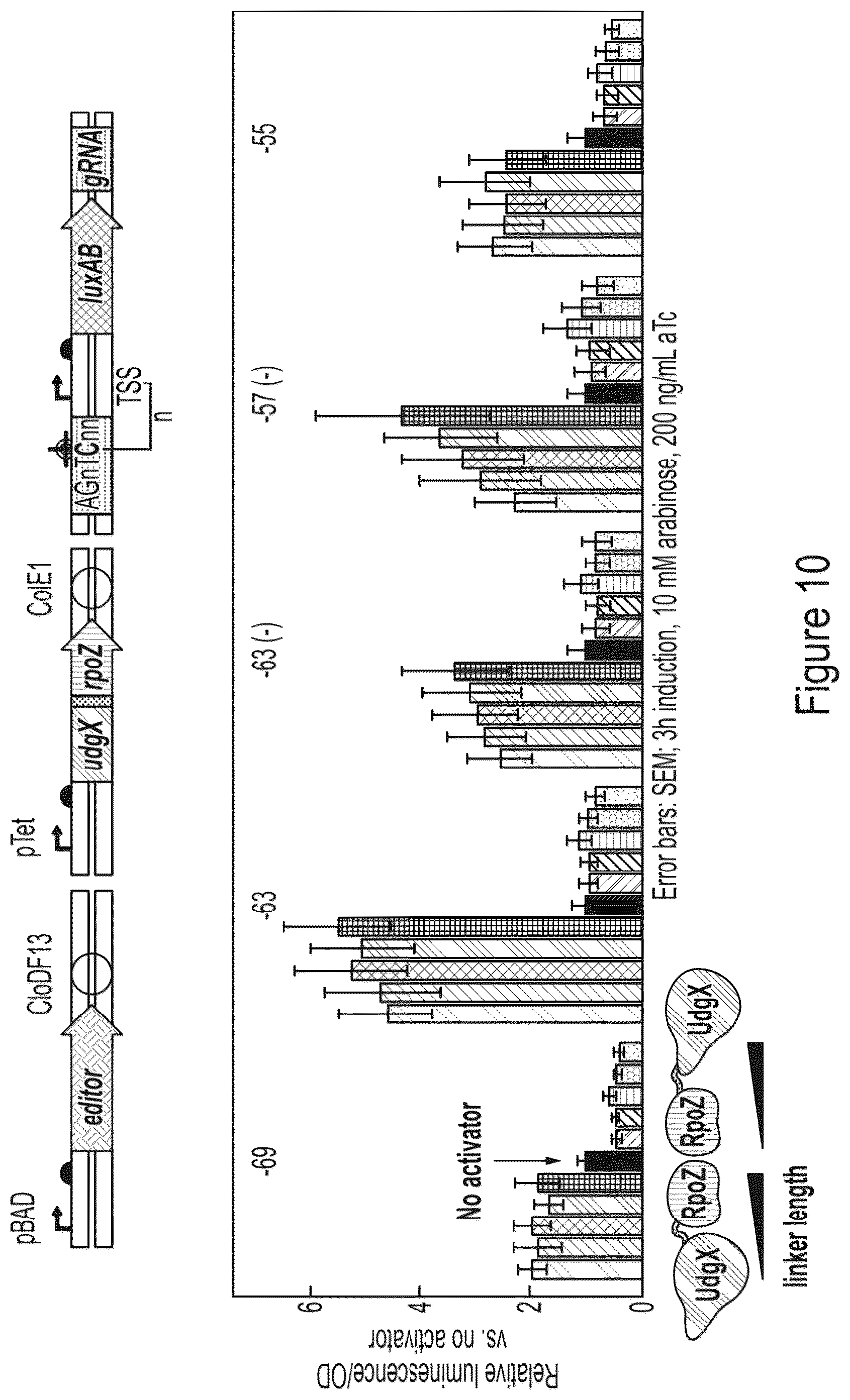 Patent US12359218 Figure 11 – Methods and compositions for evolving base editors using phage-assisted continuous evolution (PACE)