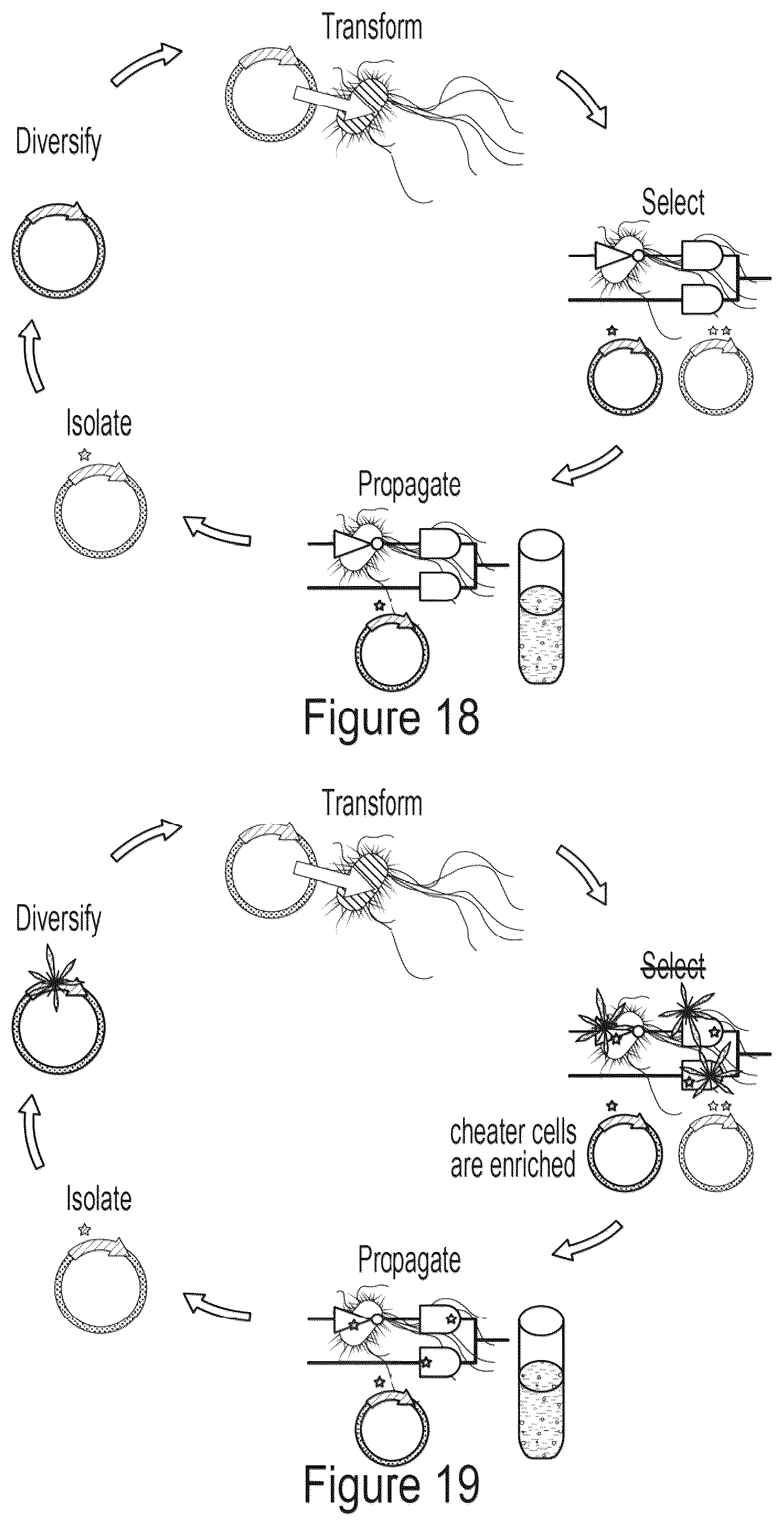 Patent US12359218 Figure 17 – Methods and compositions for evolving base editors using phage-assisted continuous evolution (PACE)
