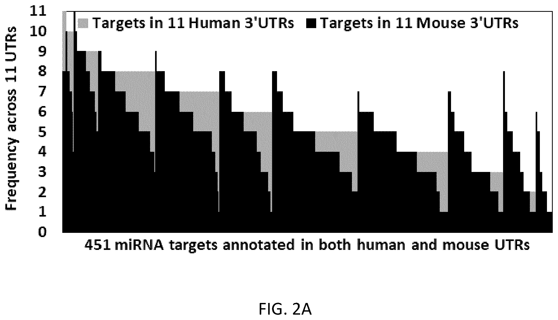 Patent US12359219 Figure 4 – Transgene cassettes designed to express a human MECP2 gene