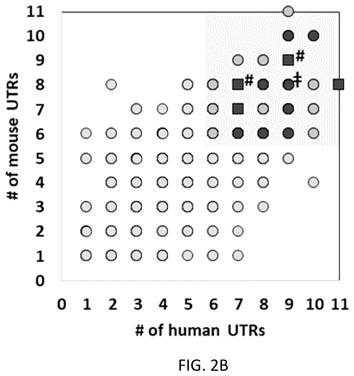 Patent US12359219 Figure 5 – Transgene cassettes designed to express a human MECP2 gene
