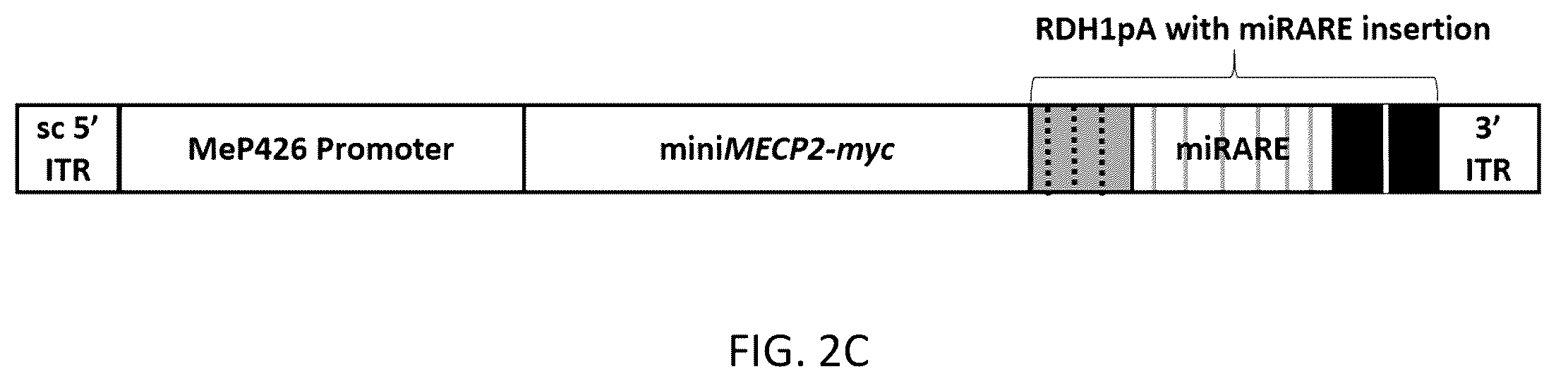 Patent US12359219 Figure 6 – Transgene cassettes designed to express a human MECP2 gene